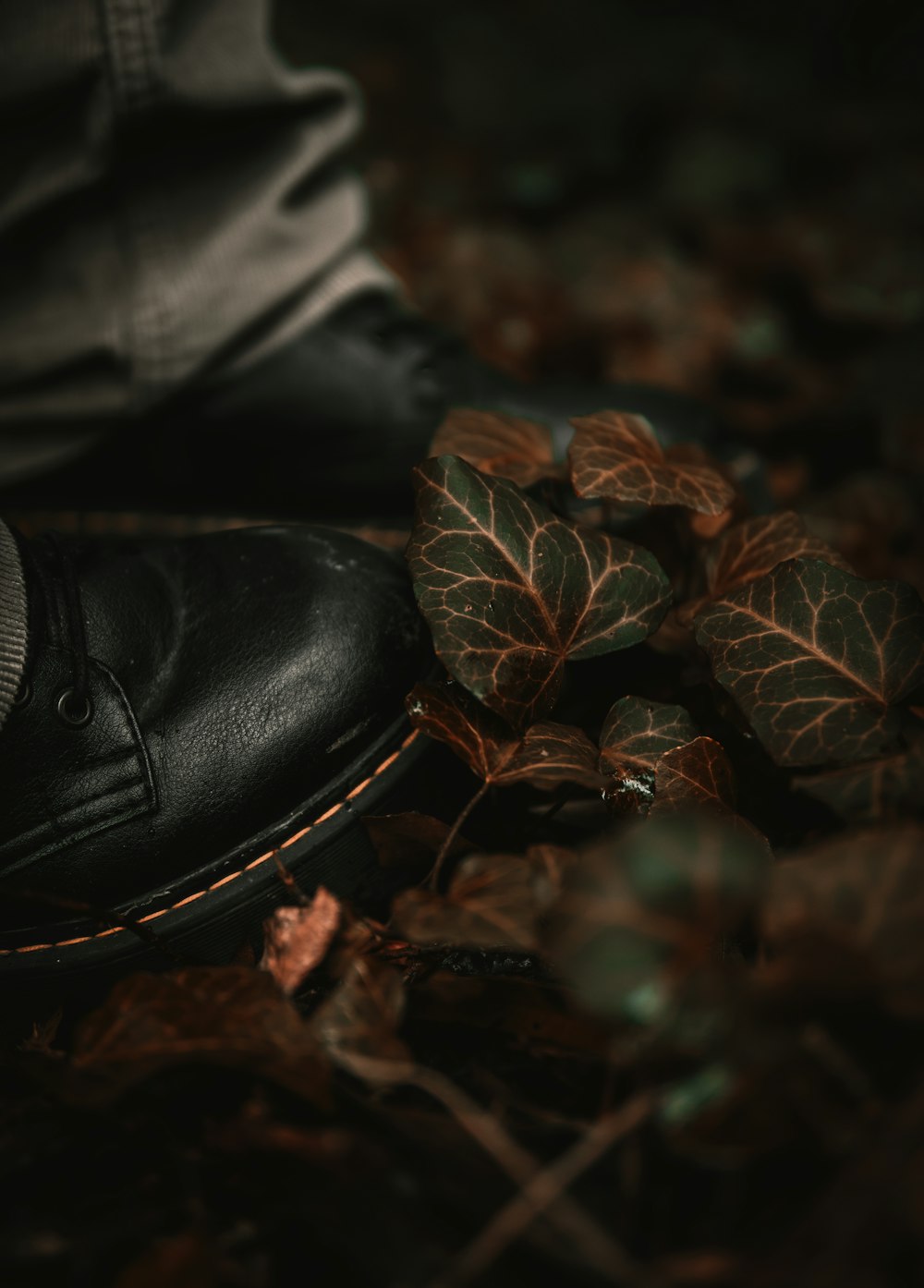 black leather shoe beside brown leaves