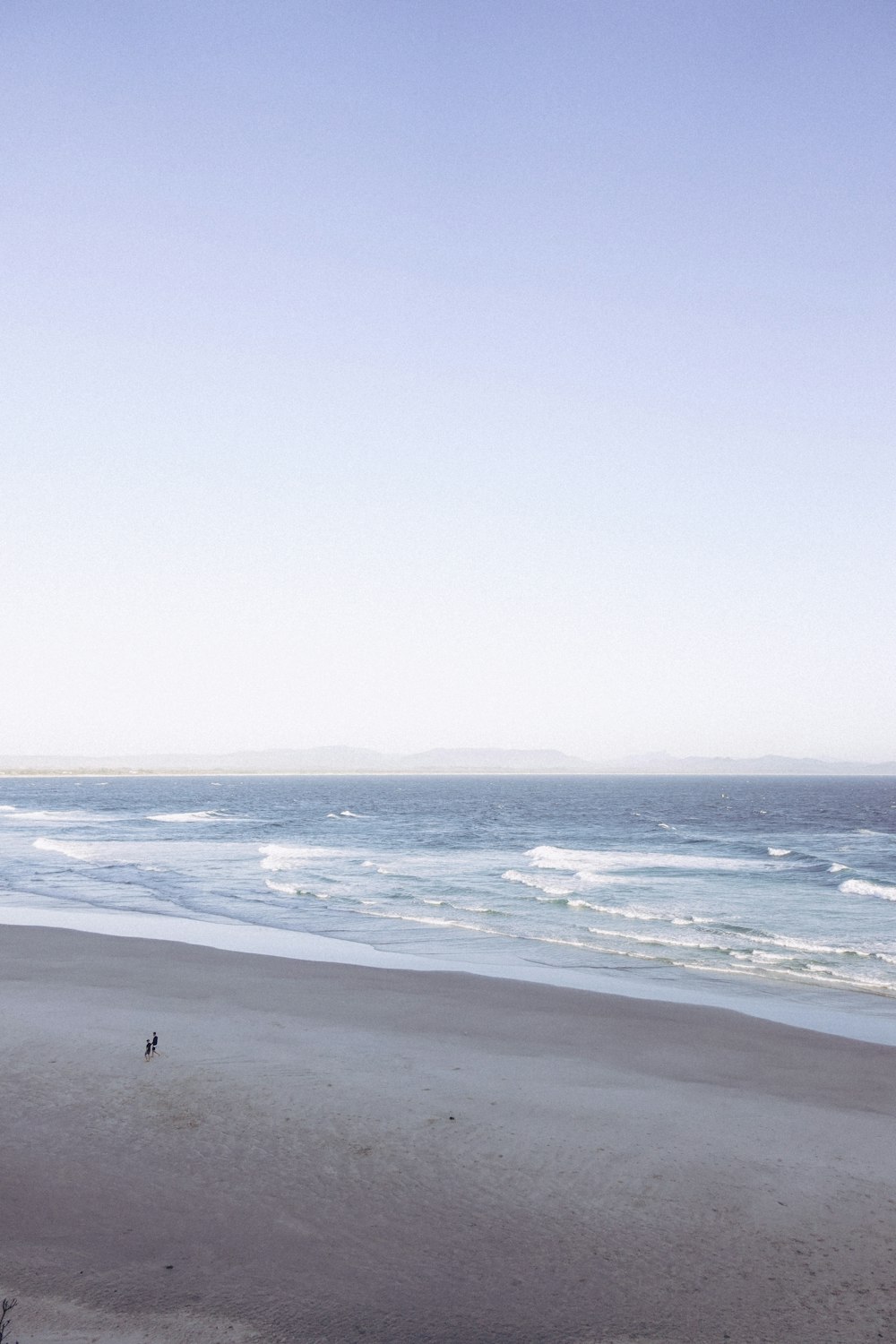 bird flying over the sea during daytime