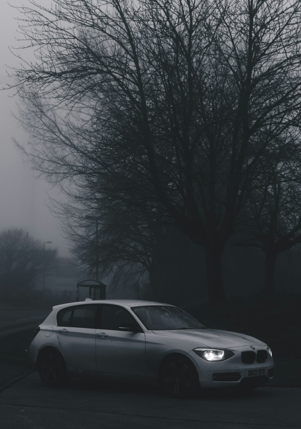 white car on road near bare trees during foggy weather