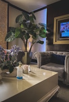 A cozy living room setup with cleaning supplies neatly arranged.