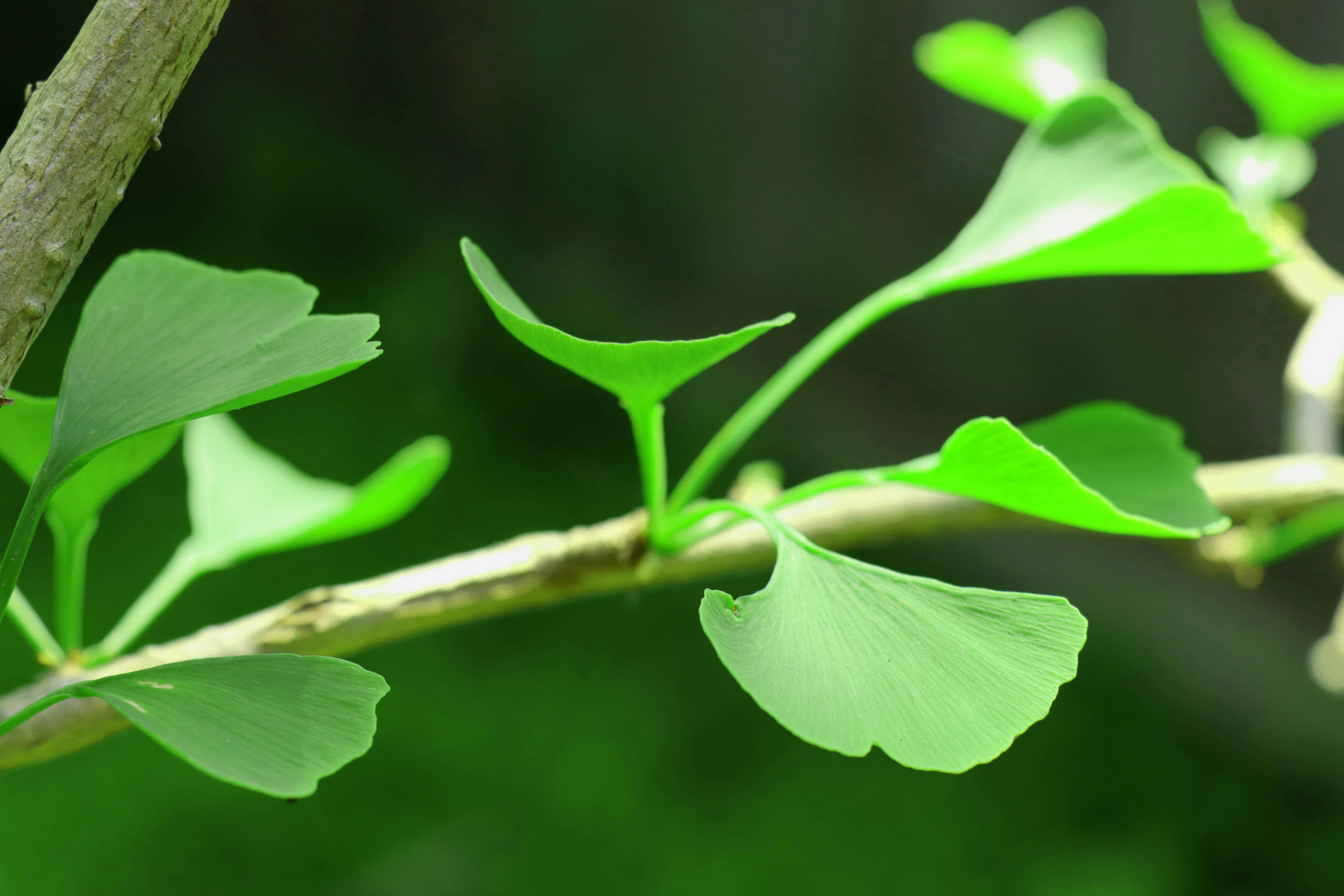 Photo by miguelcastroart