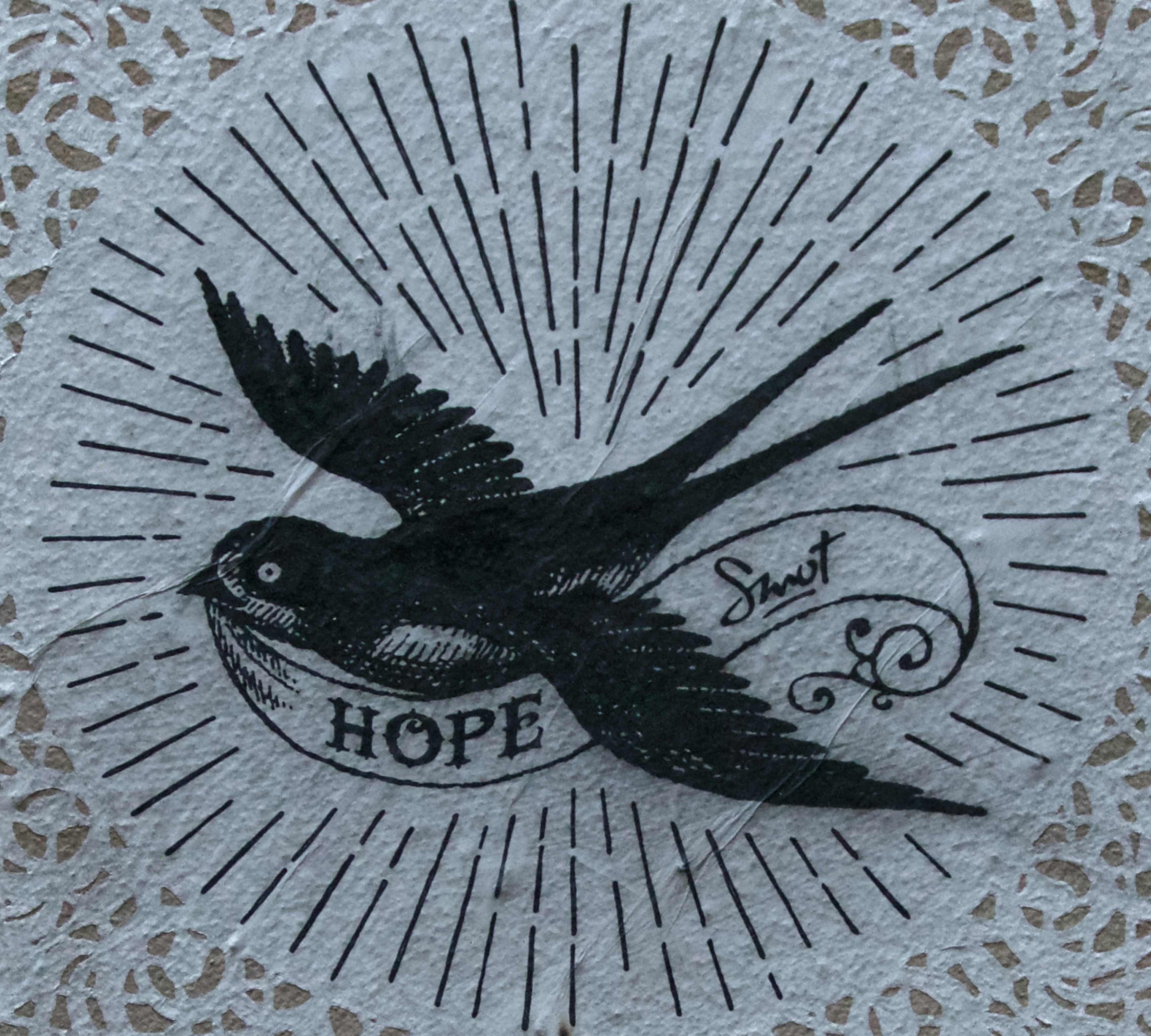 Wishes for Politics: Hope, Unity & a Kinder Future