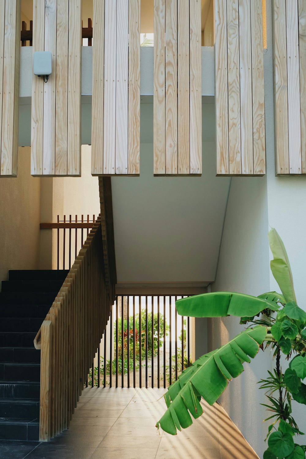 green plant near brown wooden staircase