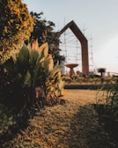 A beautifully landscaped garden with lush green foliage in the foreground, orange and yellow flowers, and a large architectural structure with scaffolding in the background. The sunlight casts a warm glow over the entire scene, creating contrasting shadows on the grass.