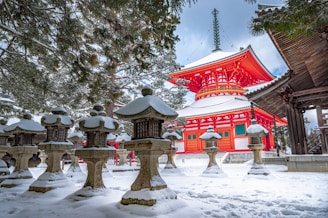 red and white temple surrounded by trees covered with snow