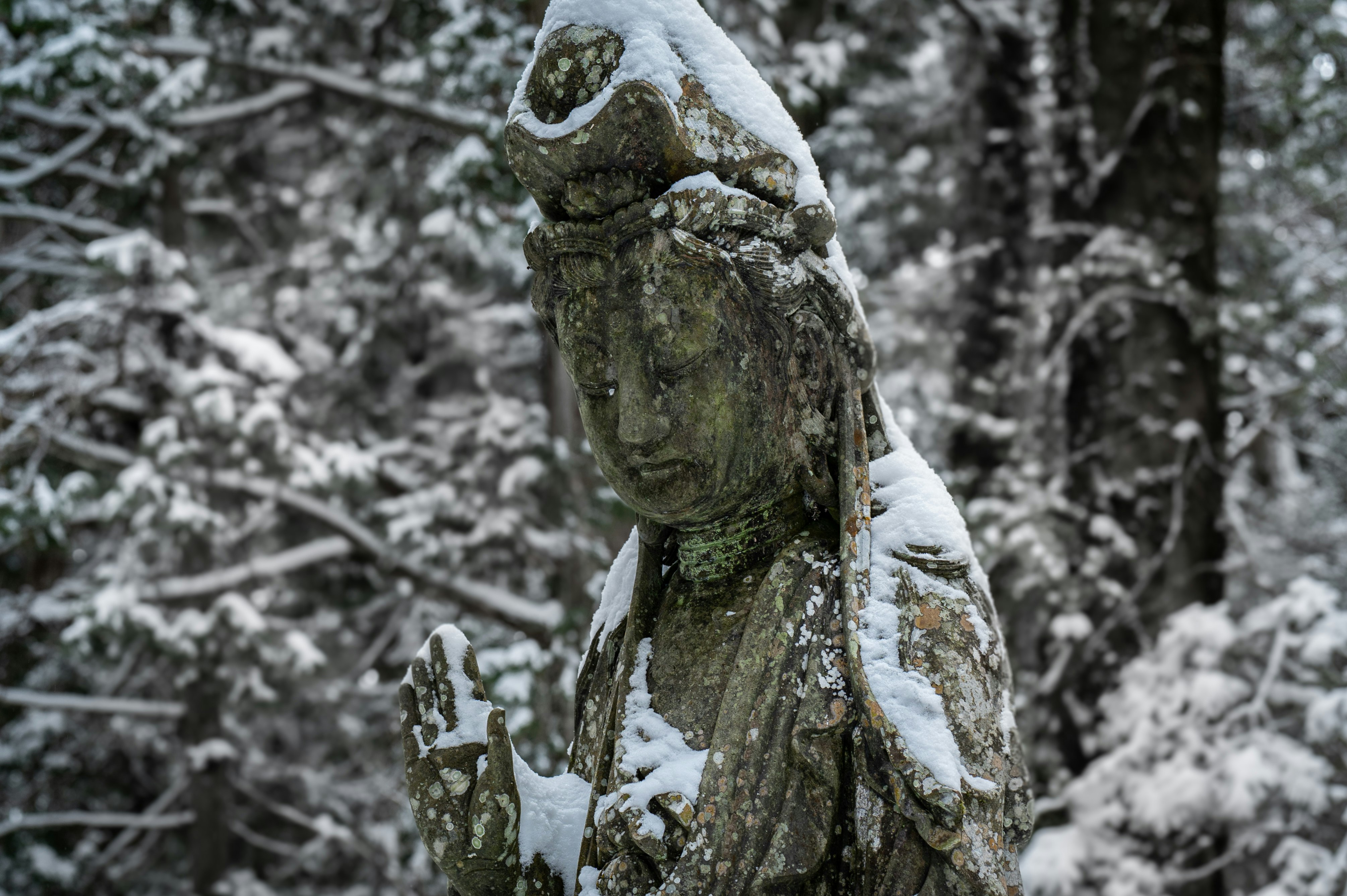 gray concrete human face bust on tree branch covered with snow