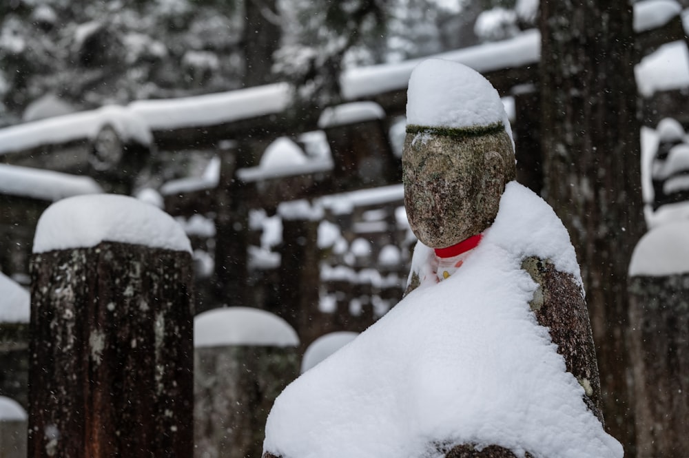 person in green hat covered with snow