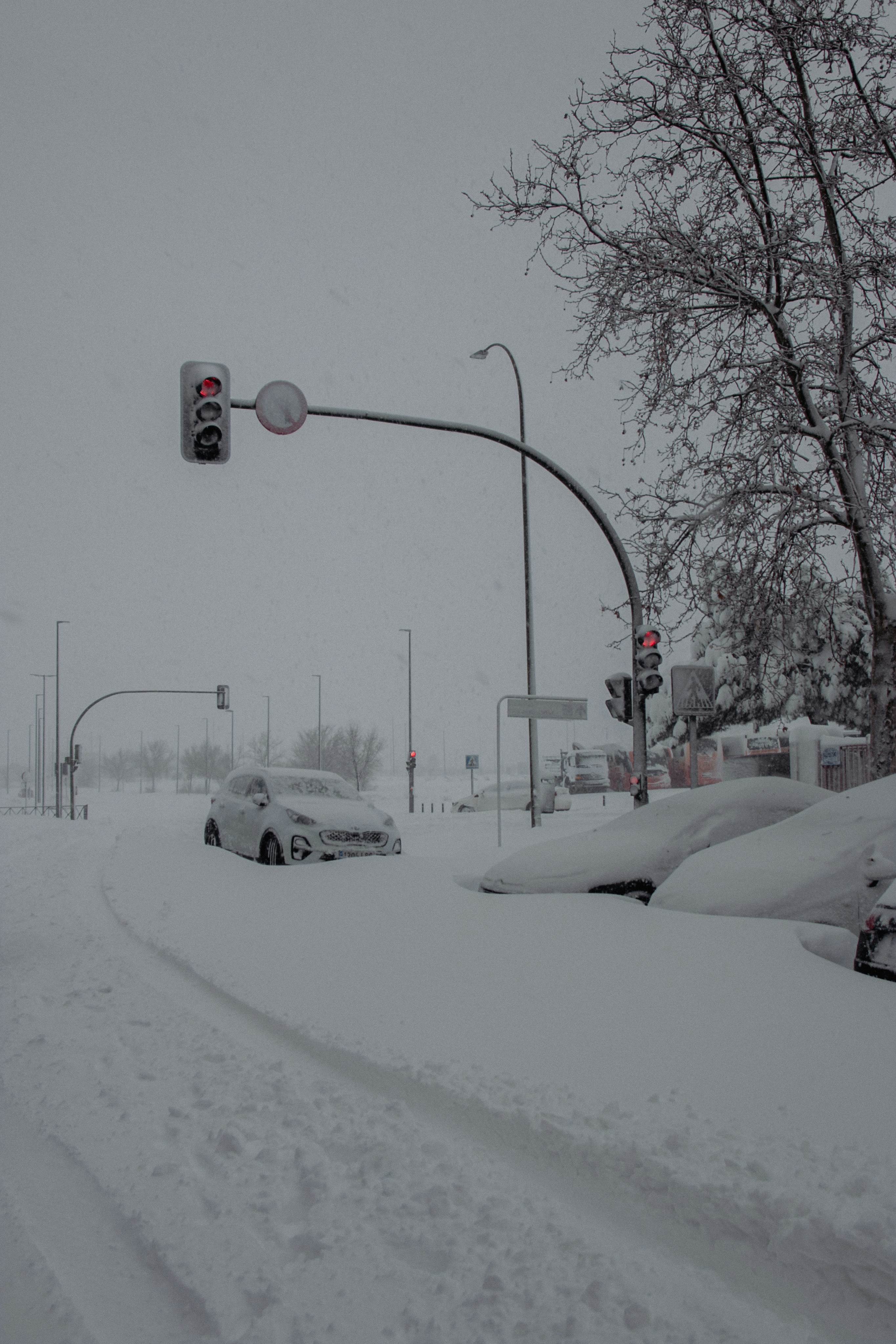 Photo by srpo