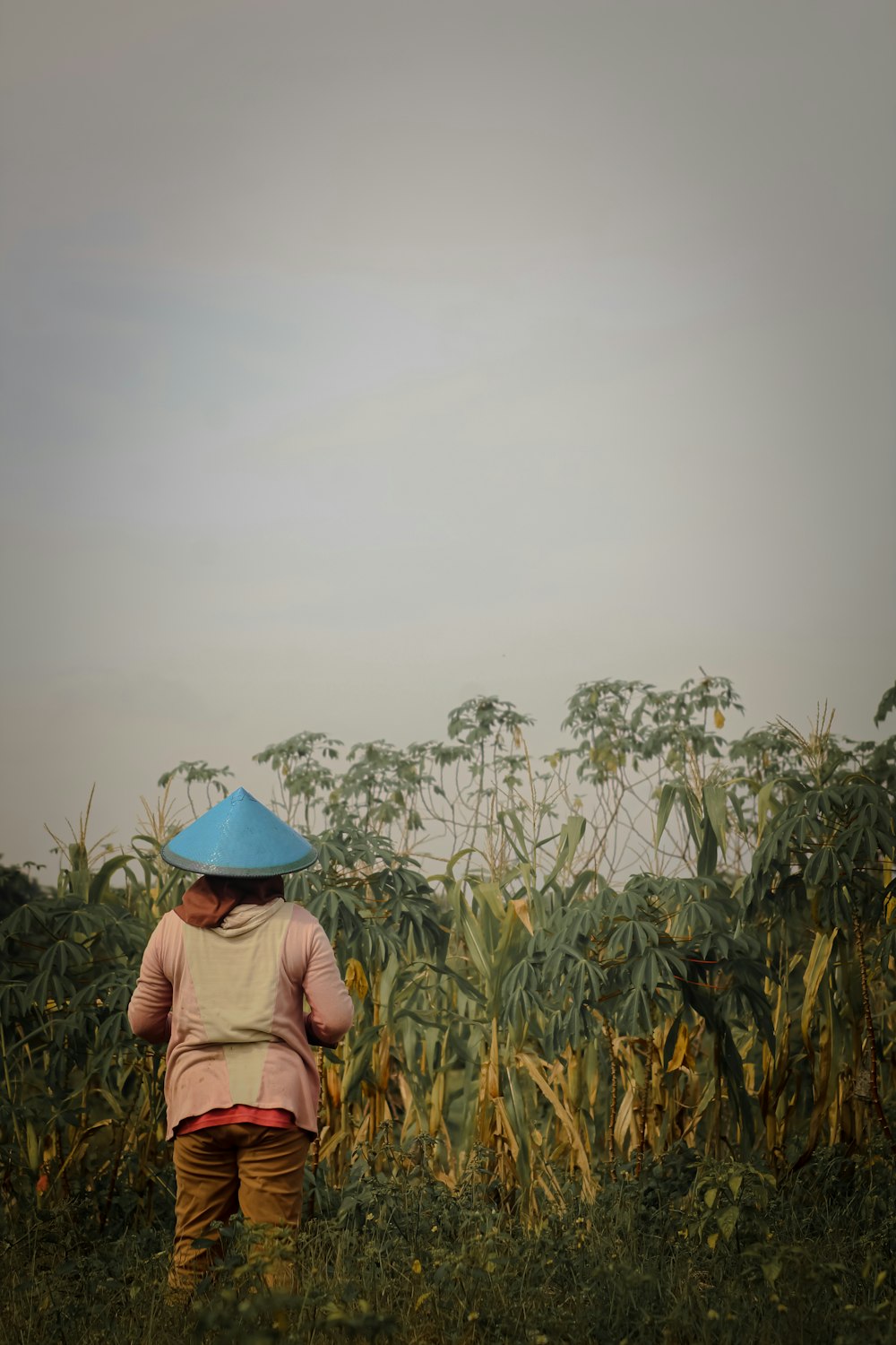 woman in brown shirt wearing blue hat standing on green grass field during daytime