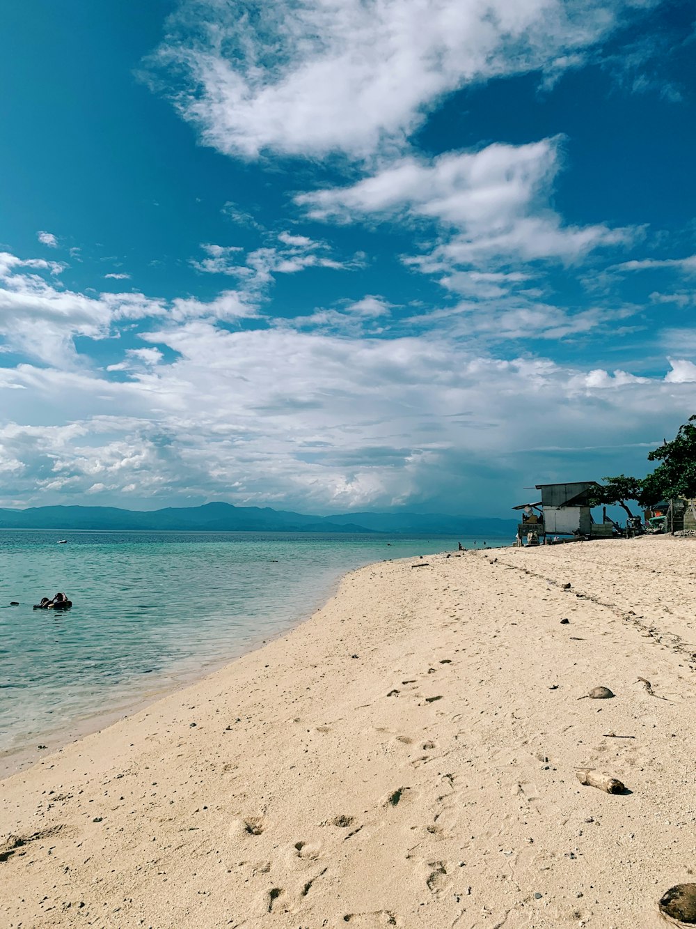 people on beach during daytime