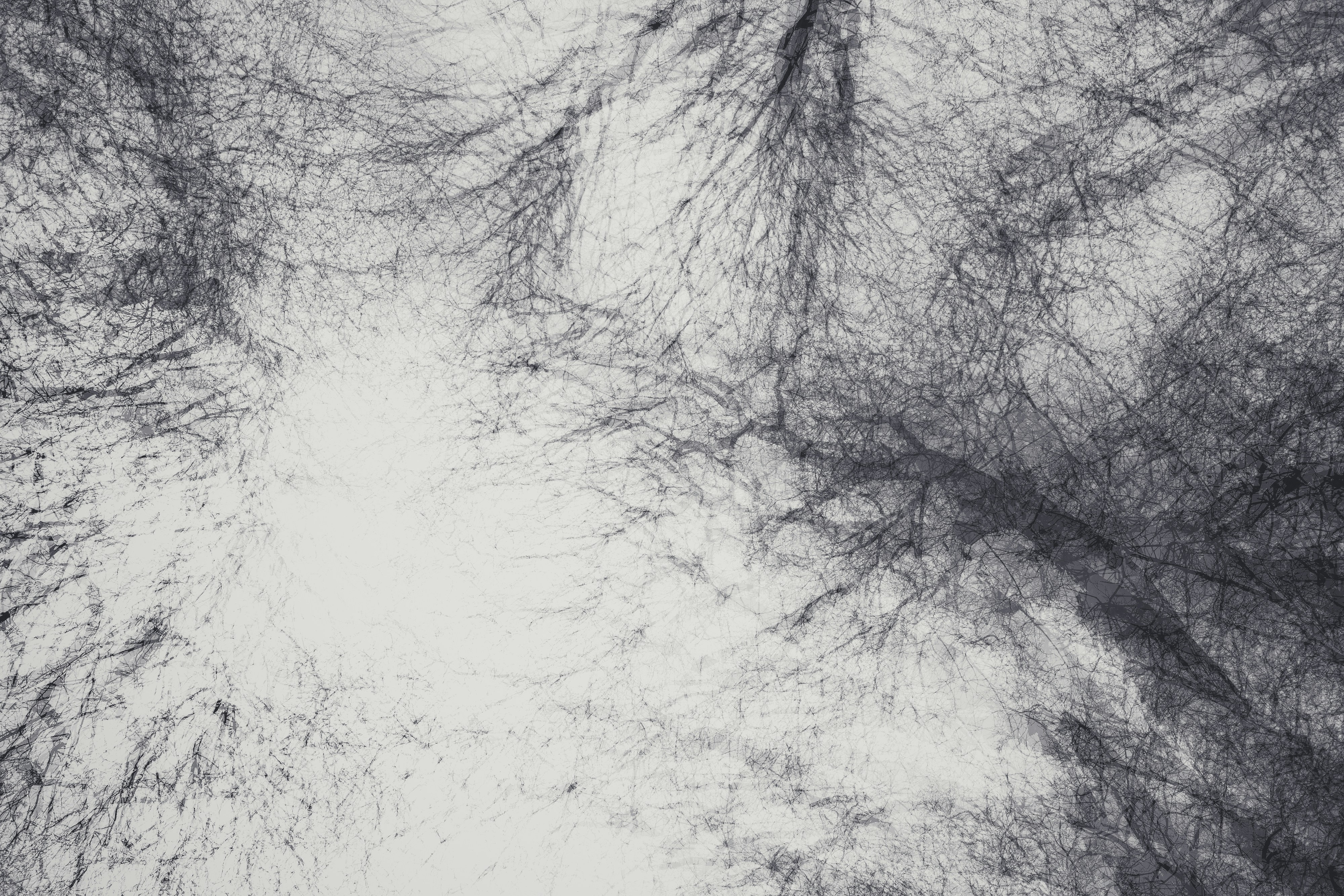 Photo by markusspiske