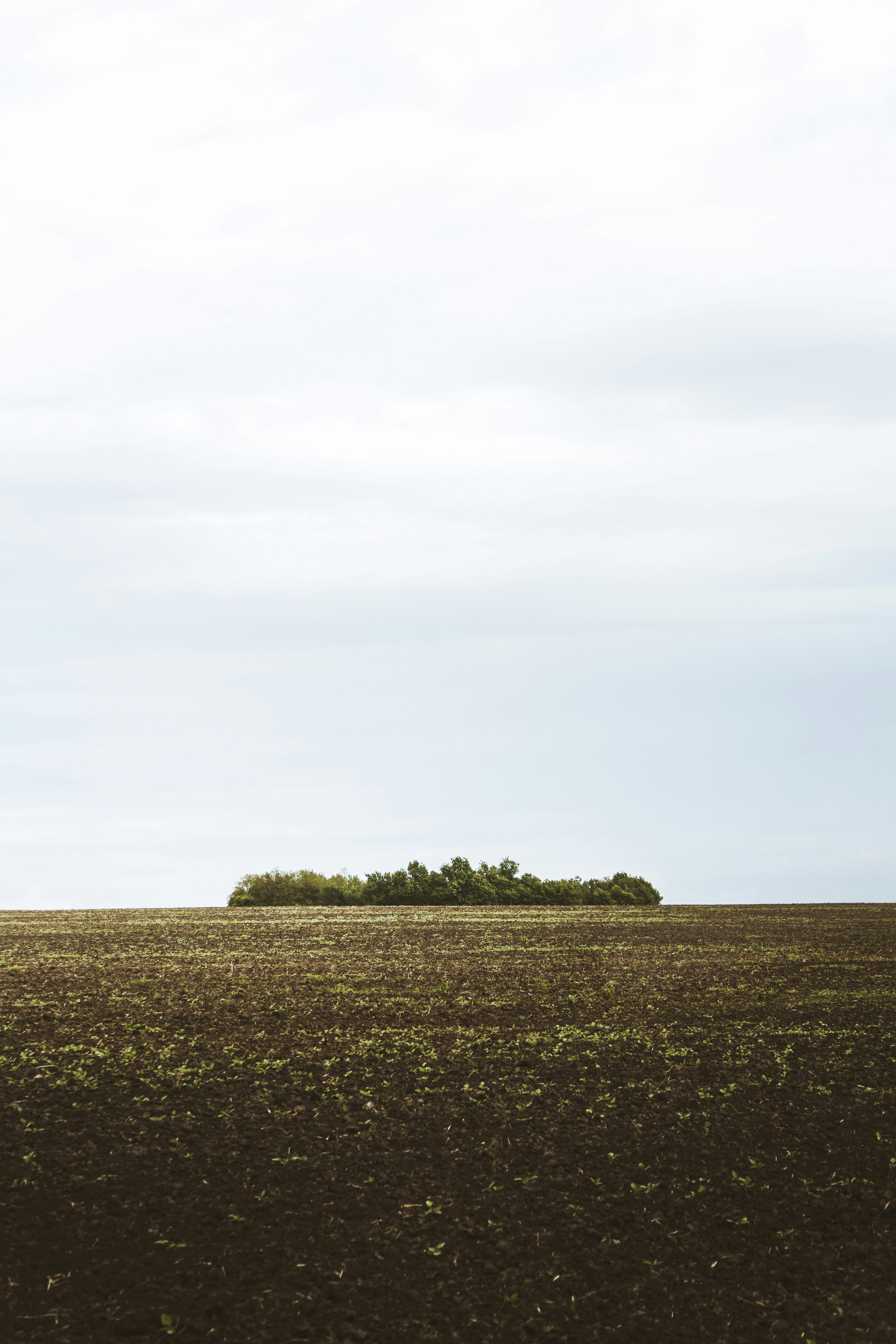 Photo by animgraphlab