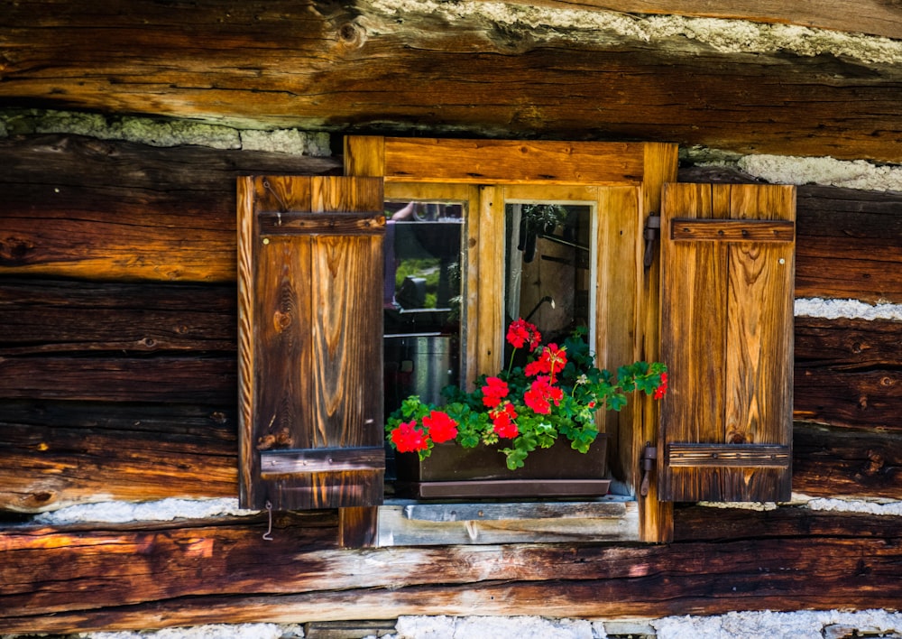 porta de madeira marrom com flores cor-de-rosa e vermelhas