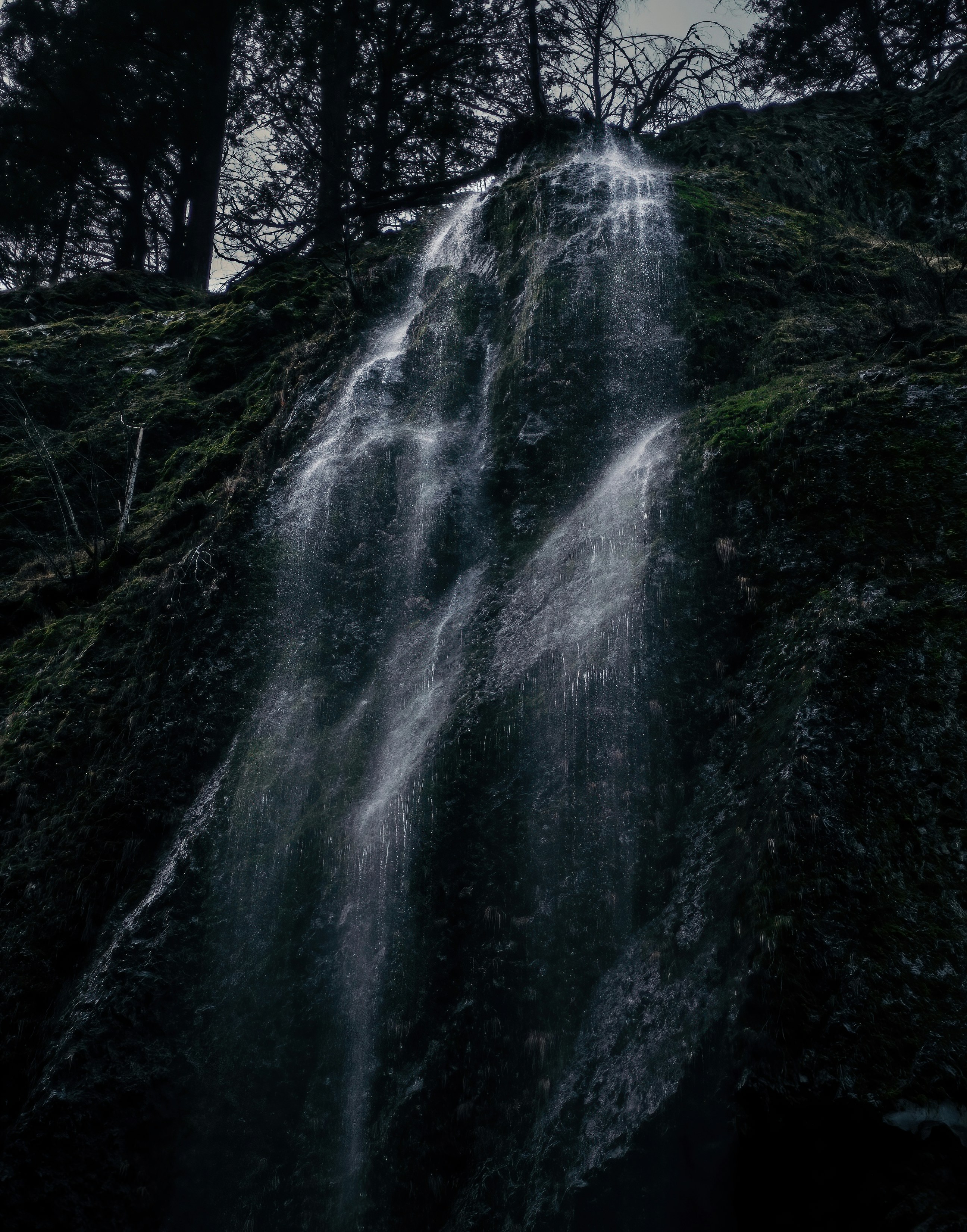 Photo by zachlez