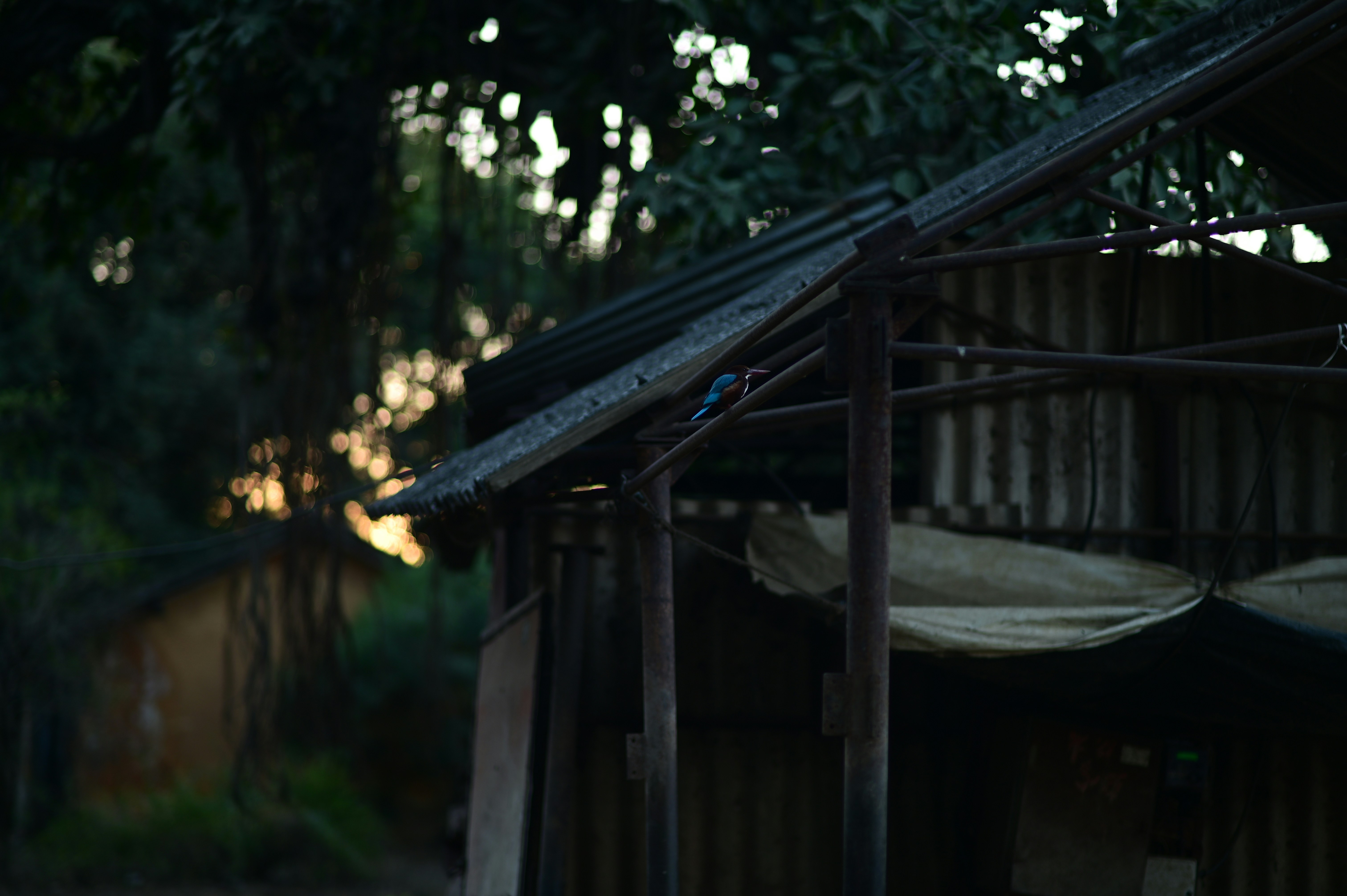 black wooden house near green trees during daytime