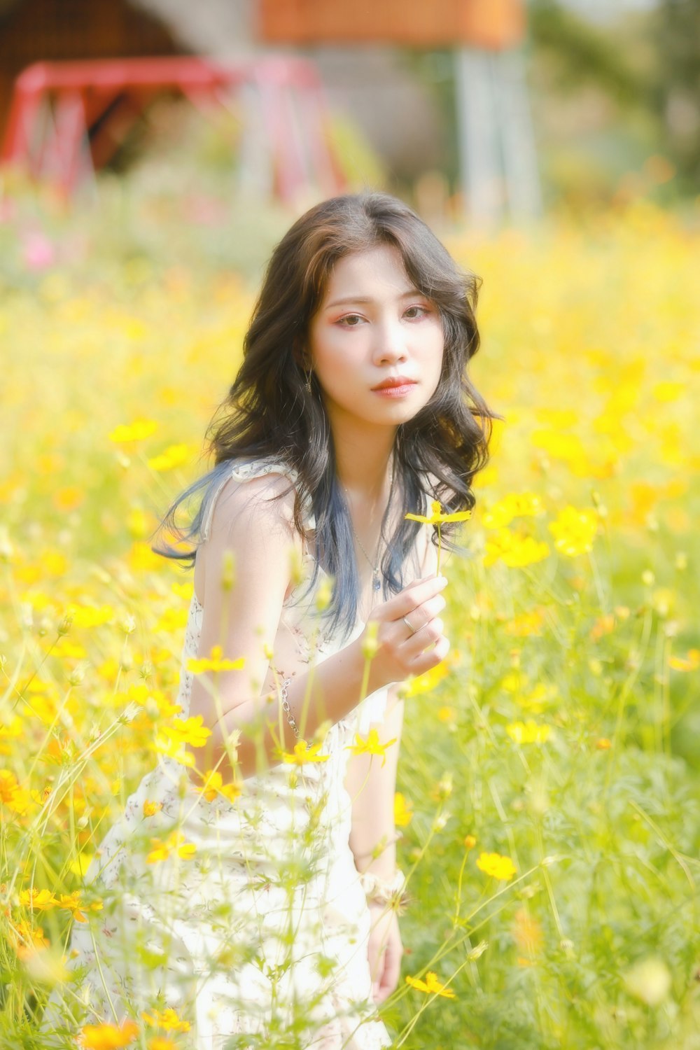 woman in white floral dress standing on yellow flower field during daytime