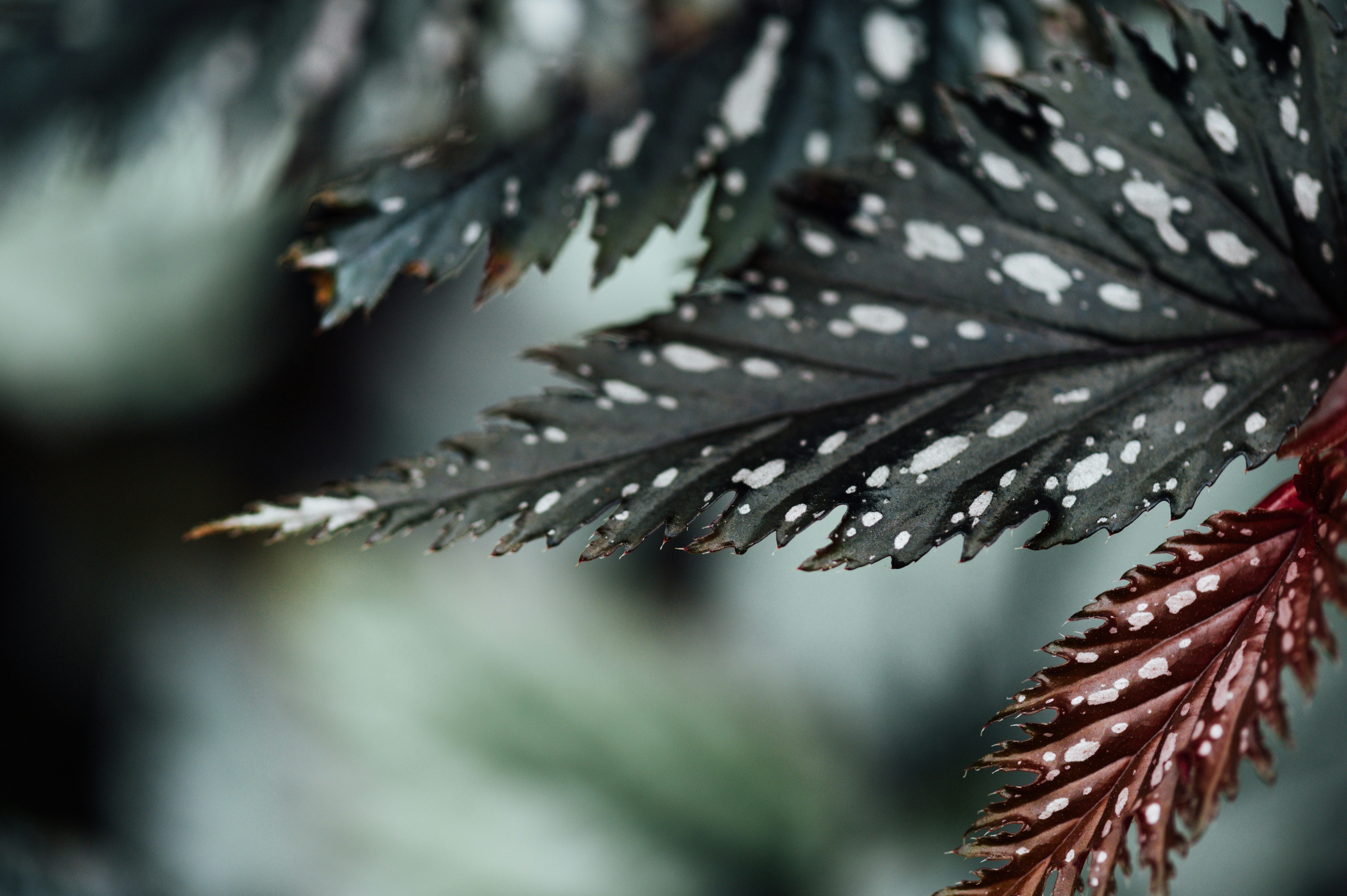 Photo by chuttersnap