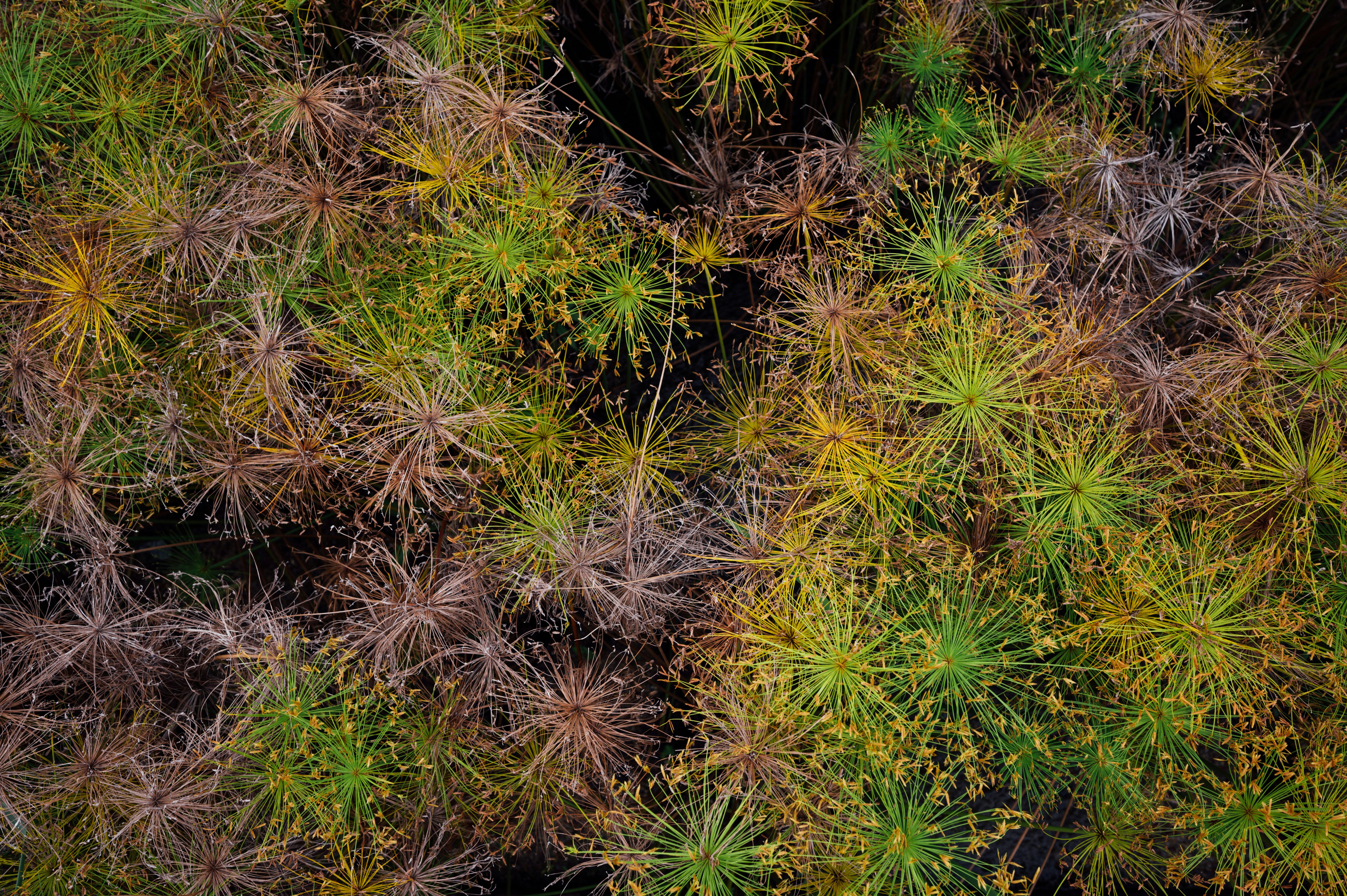 Photo by chuttersnap