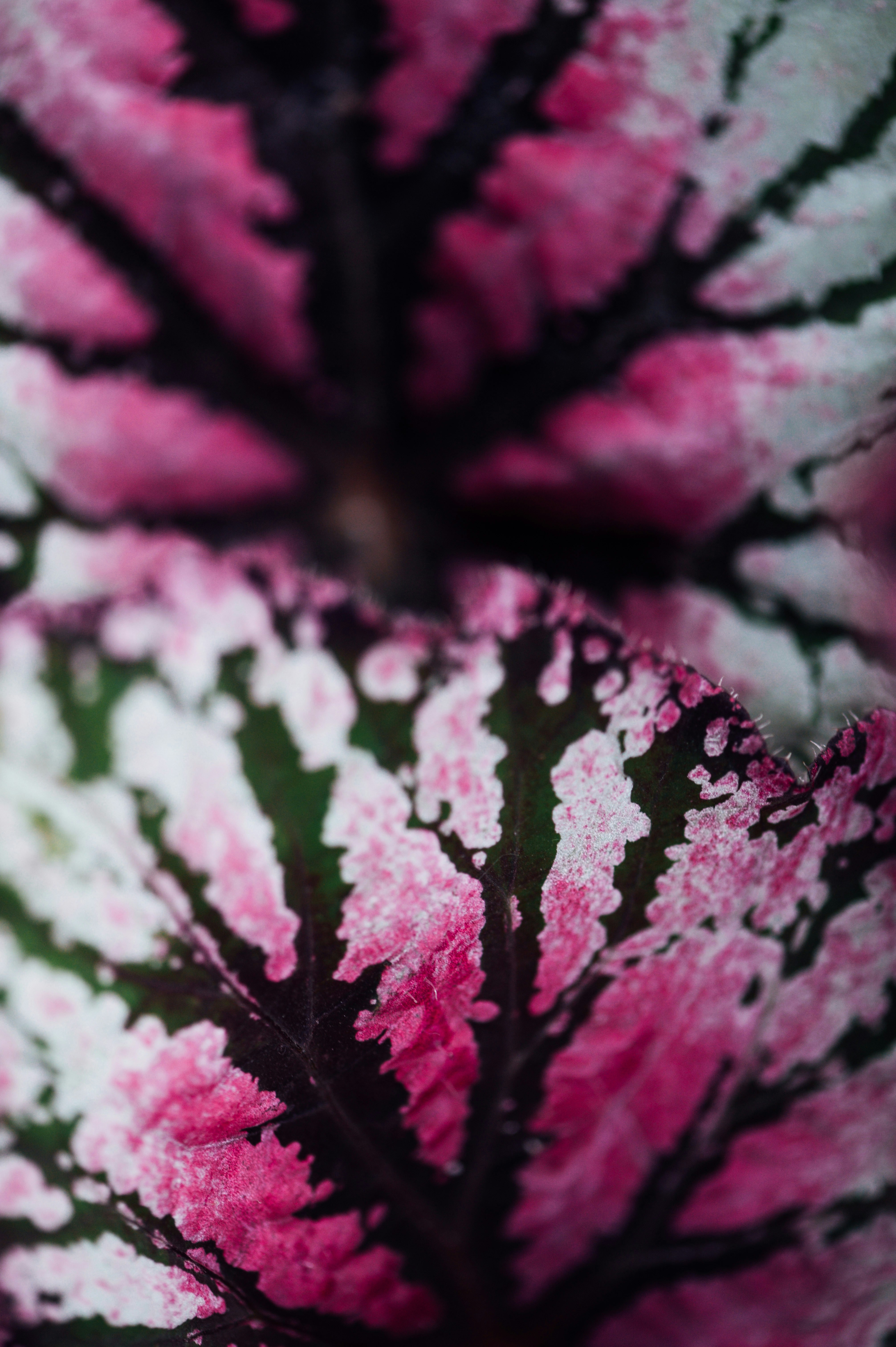 Photo by chuttersnap