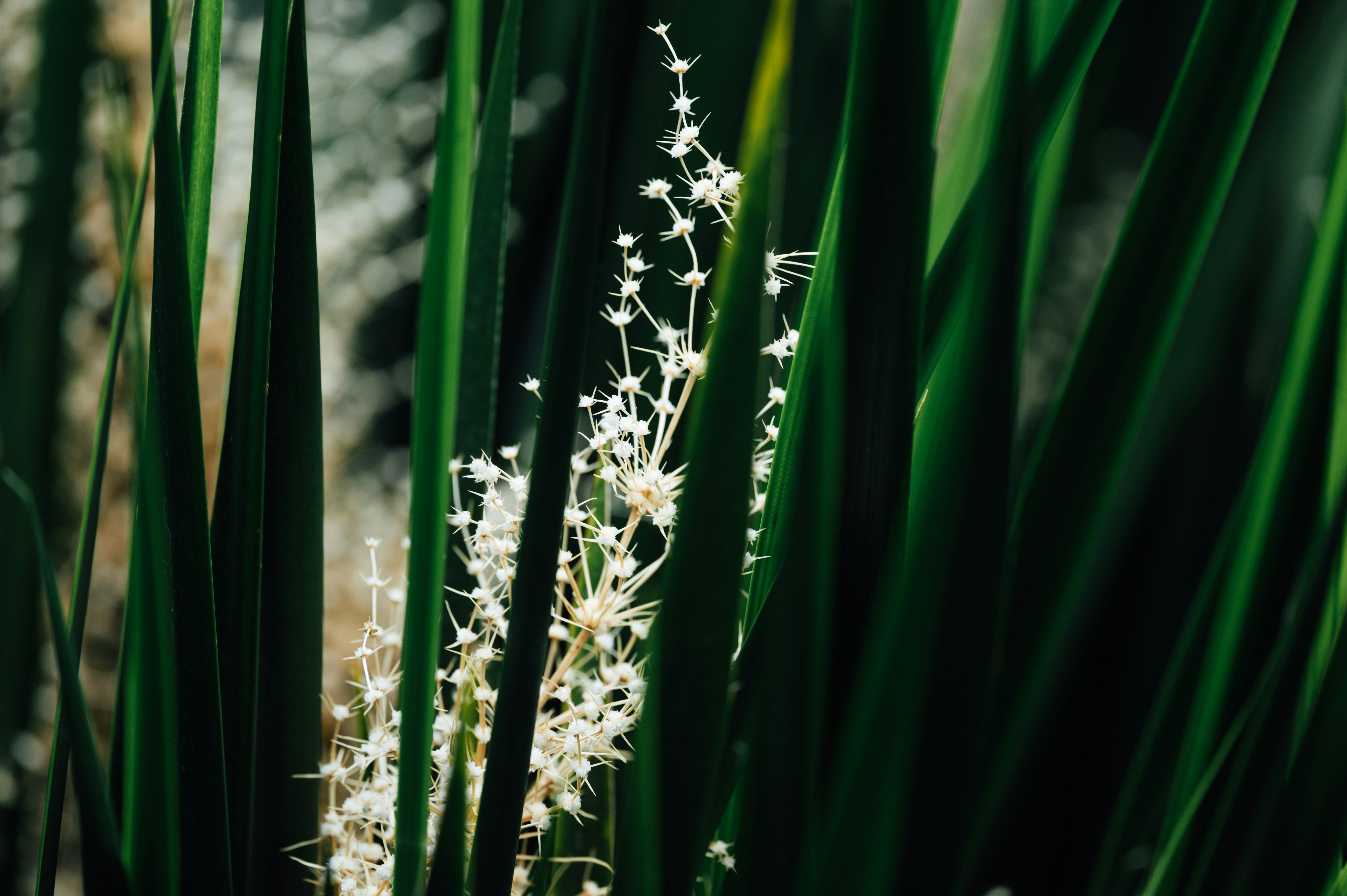 Photo by chuttersnap