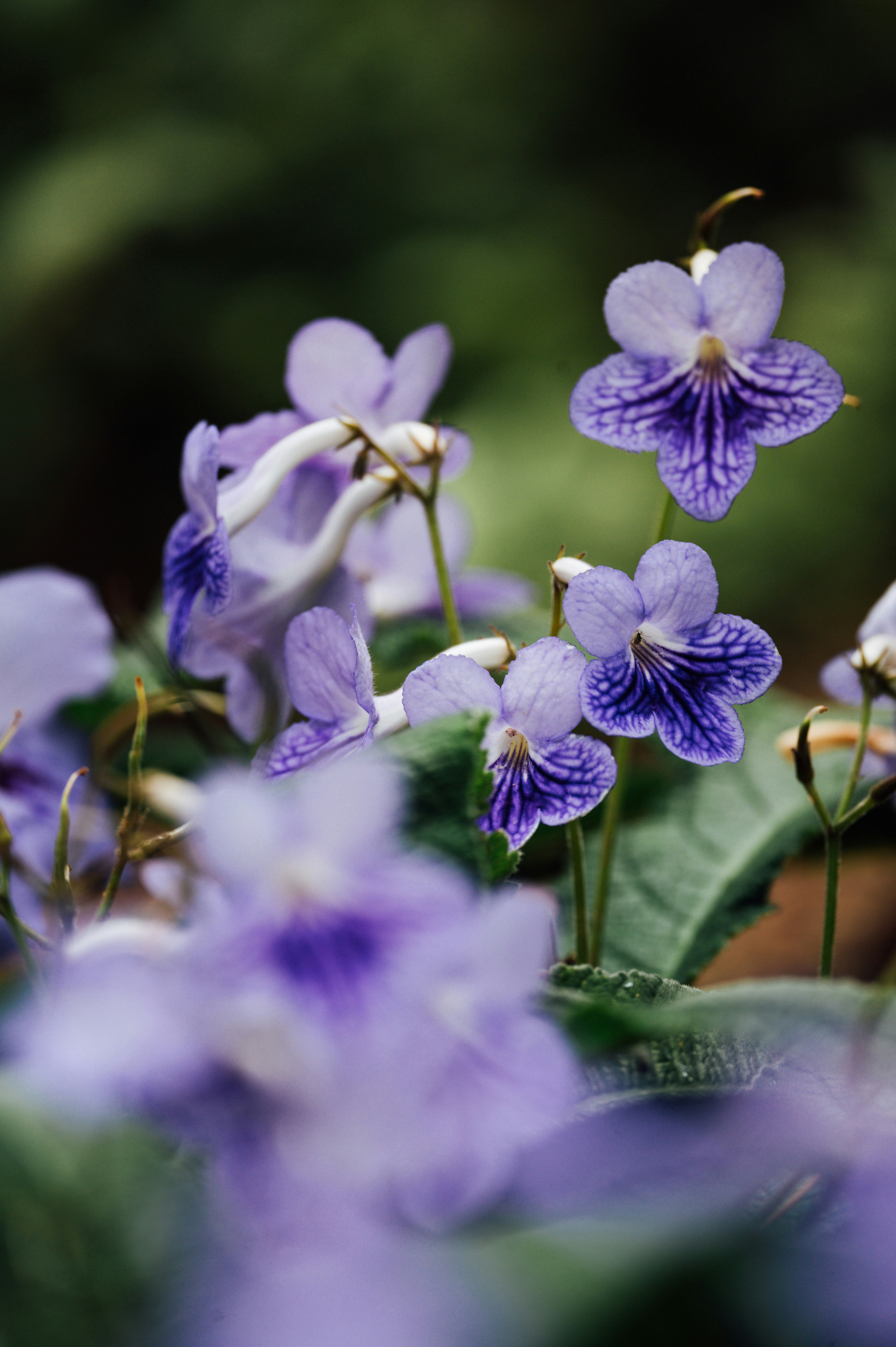 Photo by chuttersnap