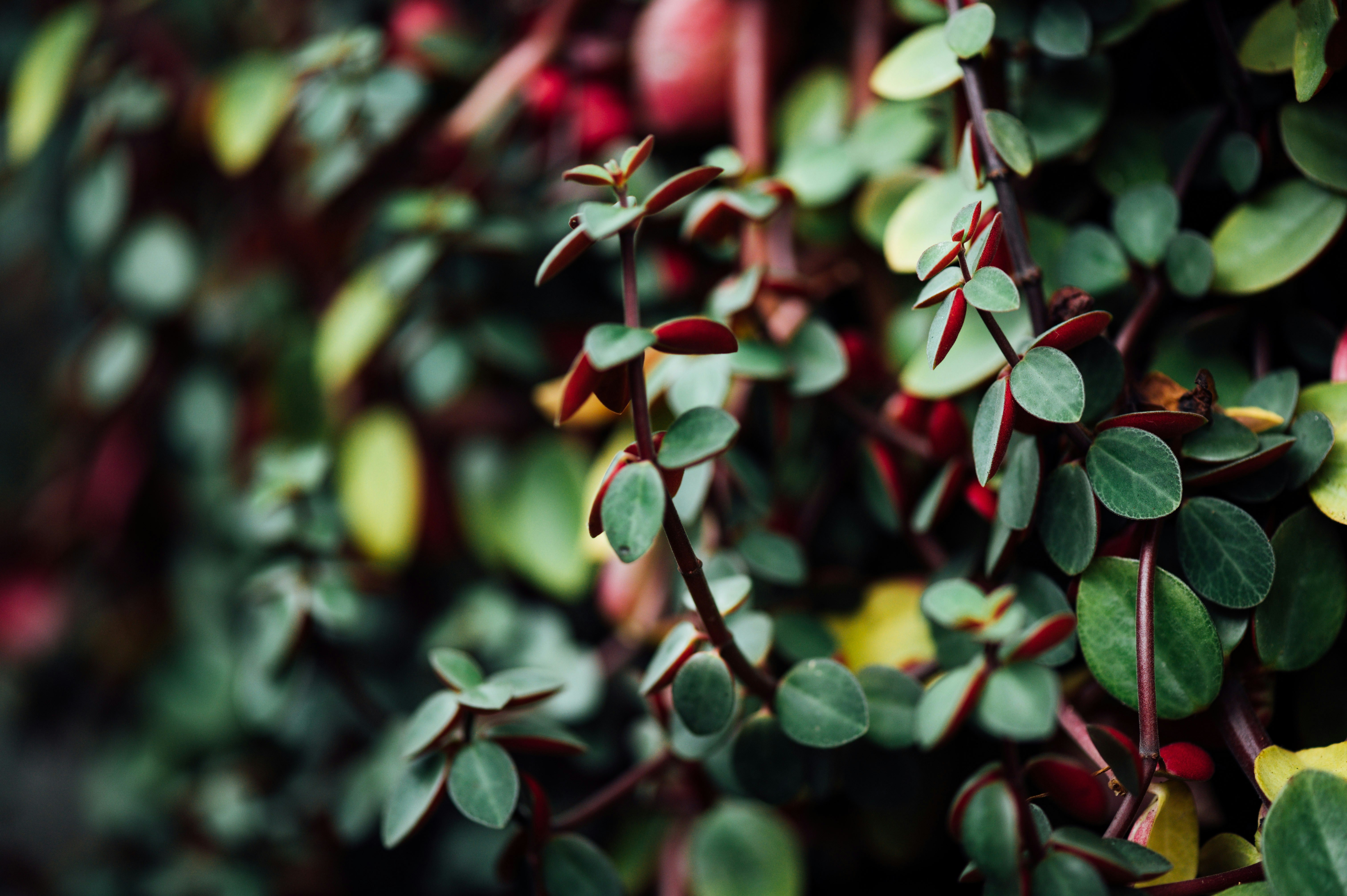 Photo by chuttersnap