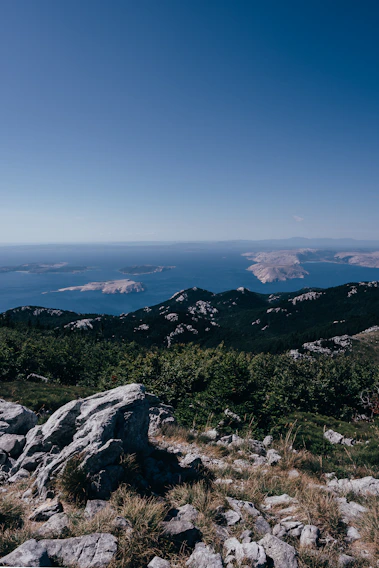 A panoramic view of the Las Loicas island with green lots and mountain backdrop under a clear blue sky.