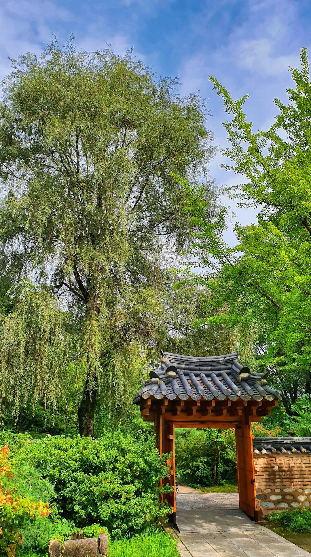 brown wooden gazebo surrounded by green trees during daytime