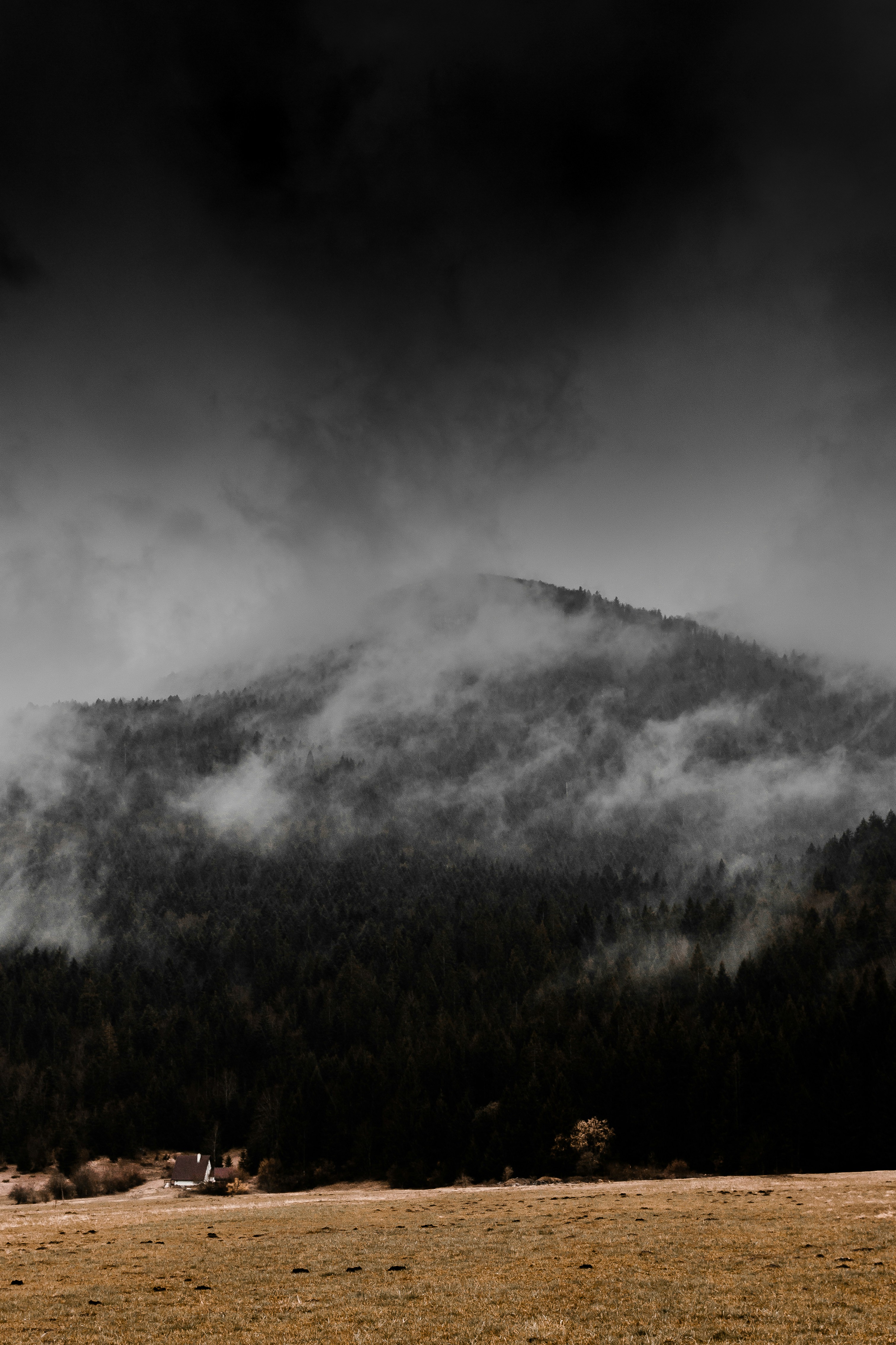 Photo by antesamarzija