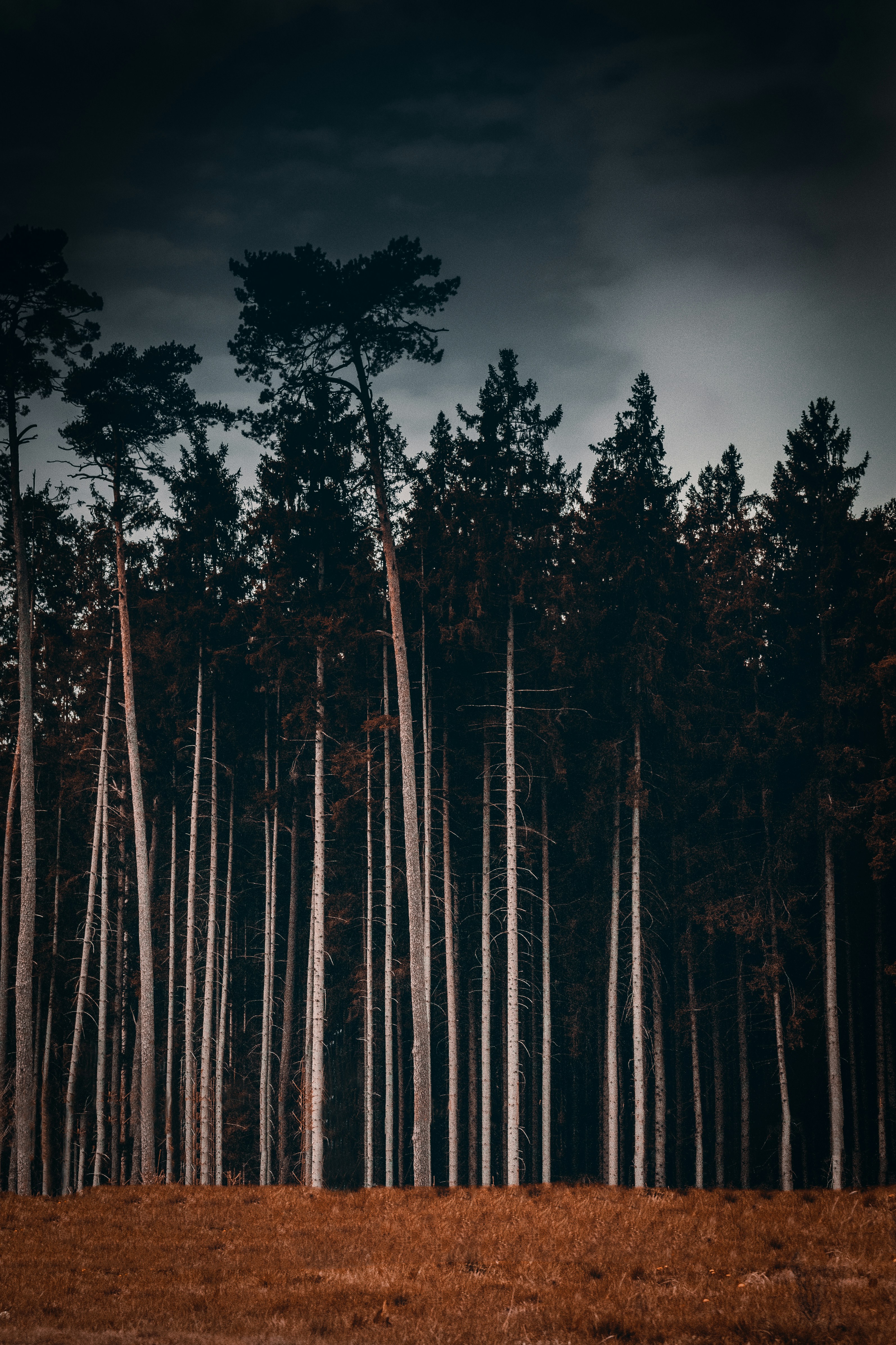 Photo by antesamarzija