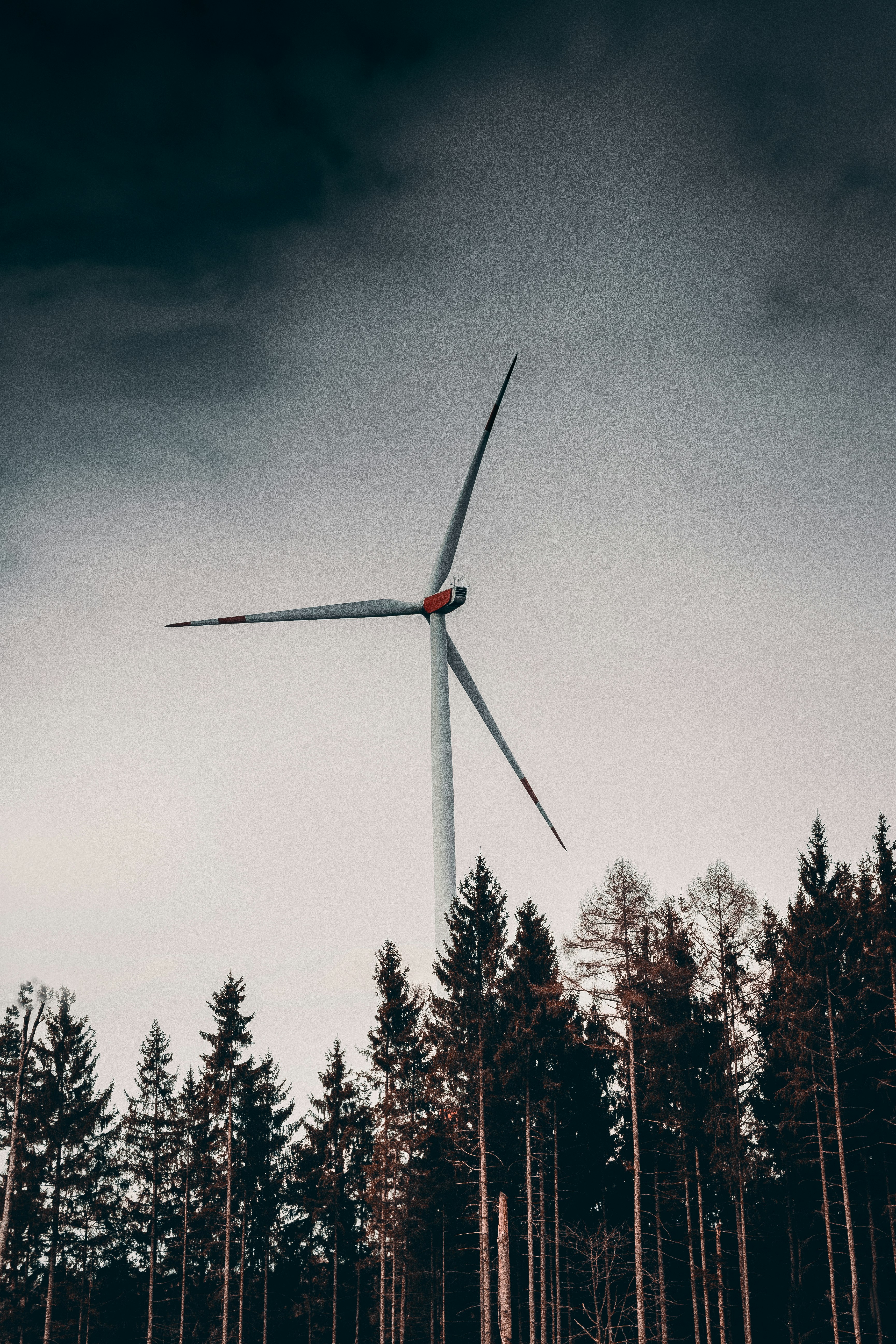 Photo by antesamarzija