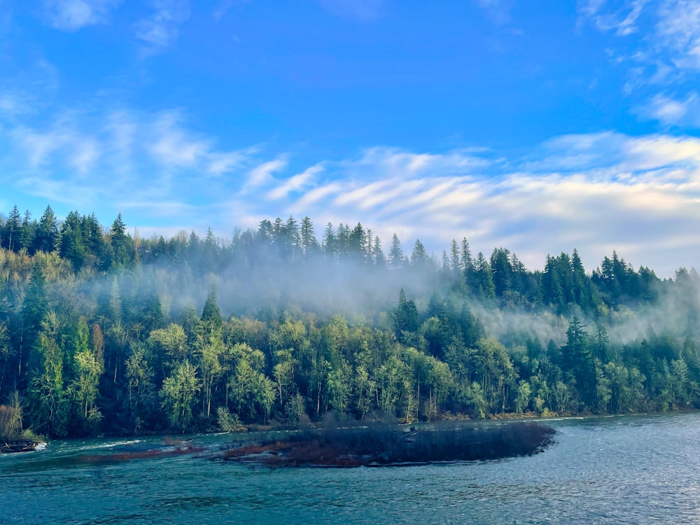 árboles verdes junto al cuerpo de agua bajo el cielo azul durante el día