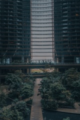 Aerial view of a biophilic green design commercial office surrounded by lush vegetation.