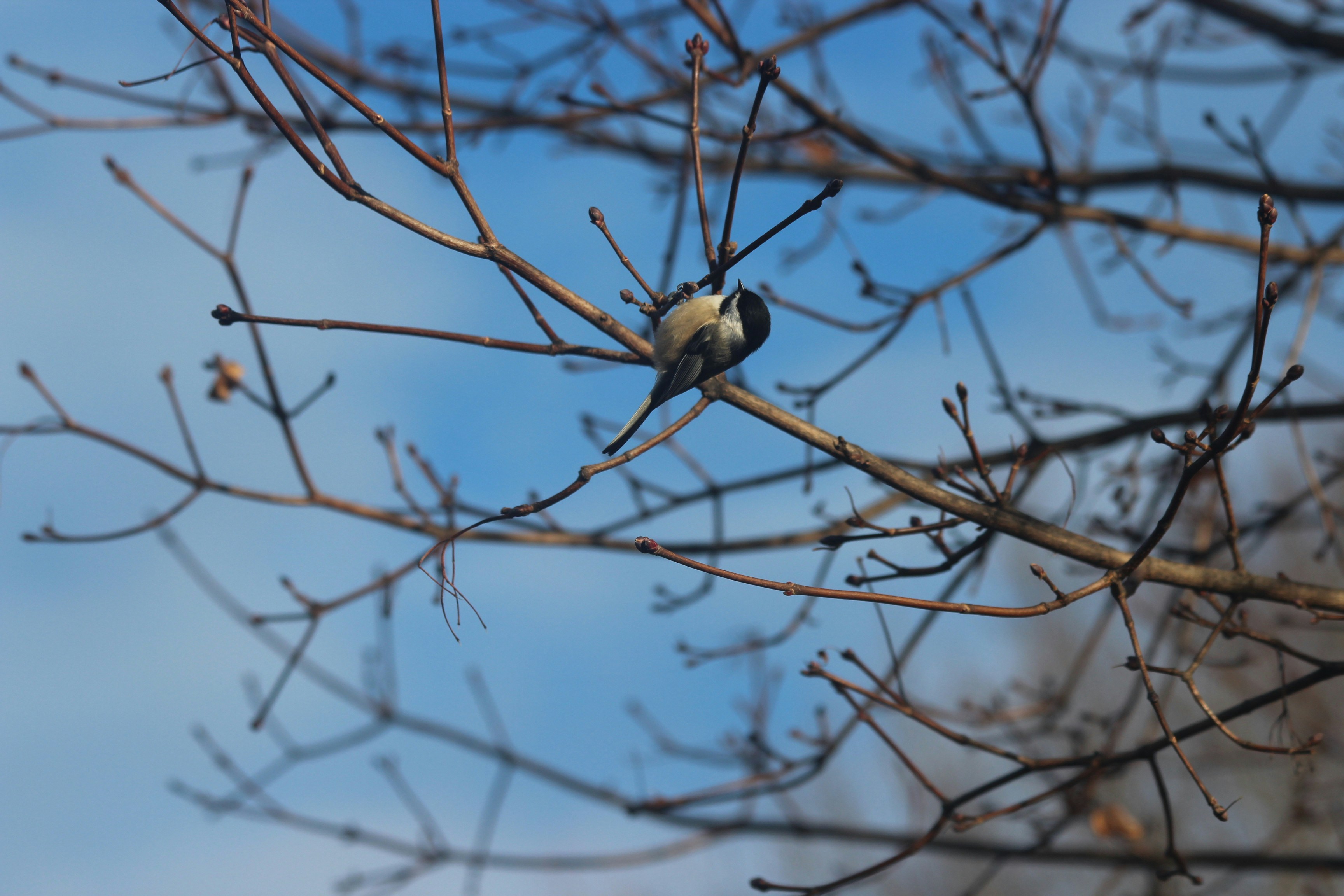 Photo by solutionrong