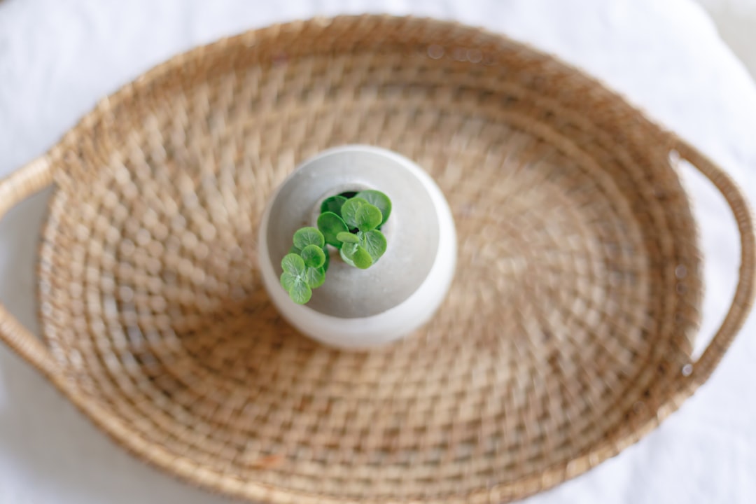 green plant on white ceramic bowl