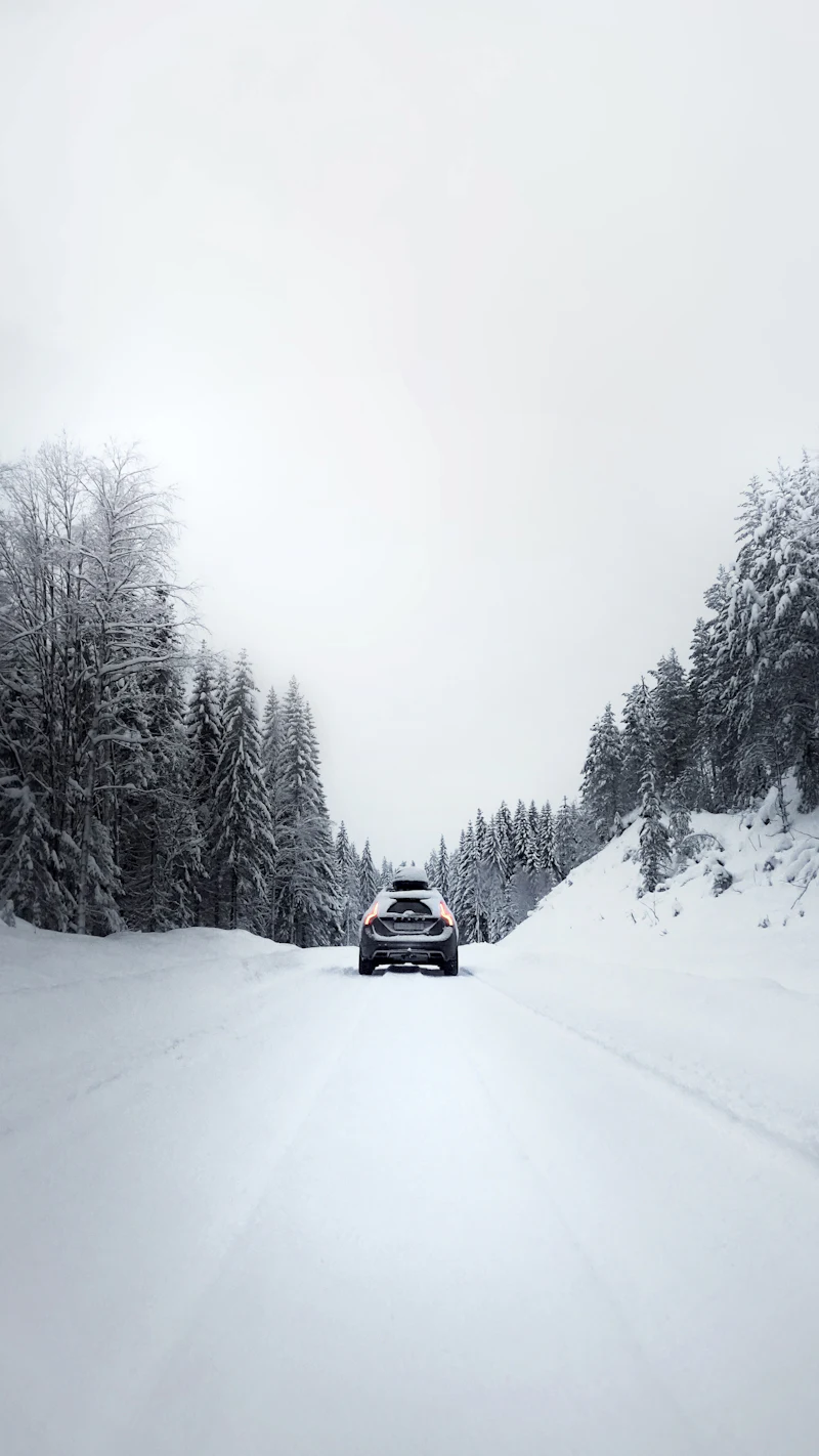 Coche negro circulando por una carretera nevada entre pinos