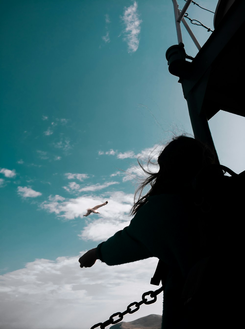 silhouette of woman holding sun