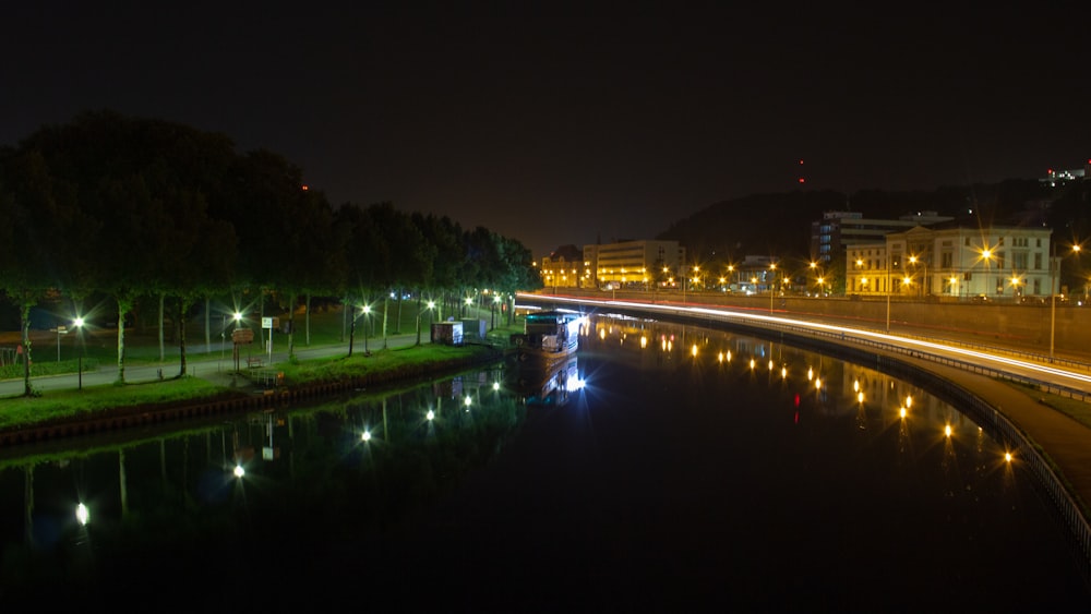 green trees near body of water during night time