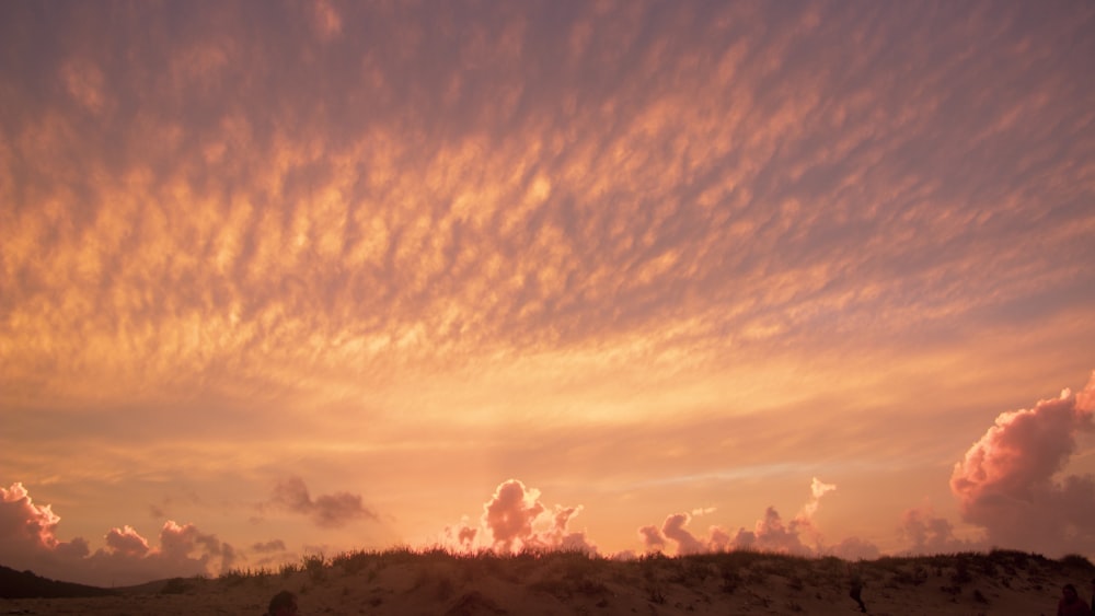 silueta de árboles bajo cielo nublado durante el día