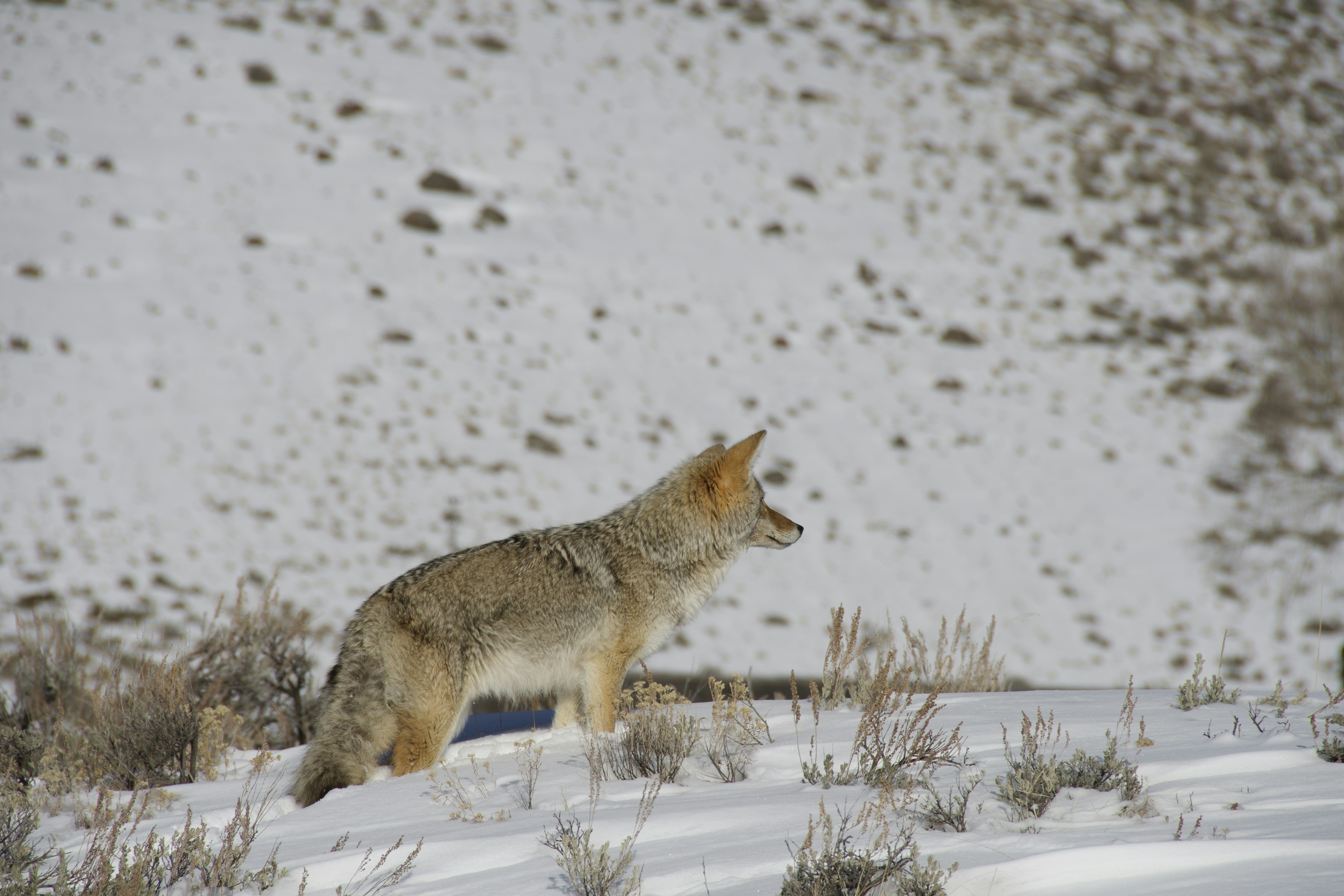 Photo by jackcharles