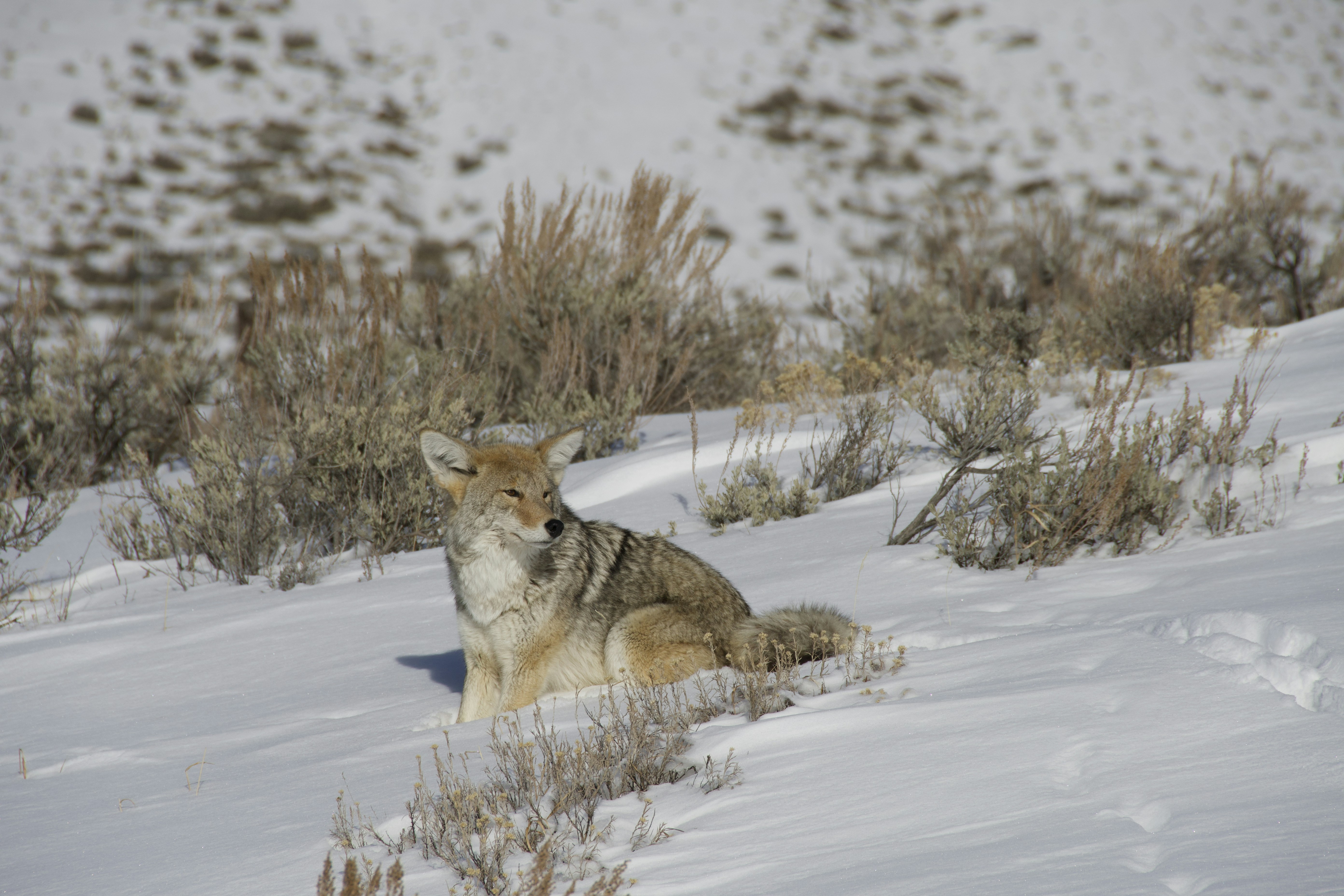 Photo by jackcharles