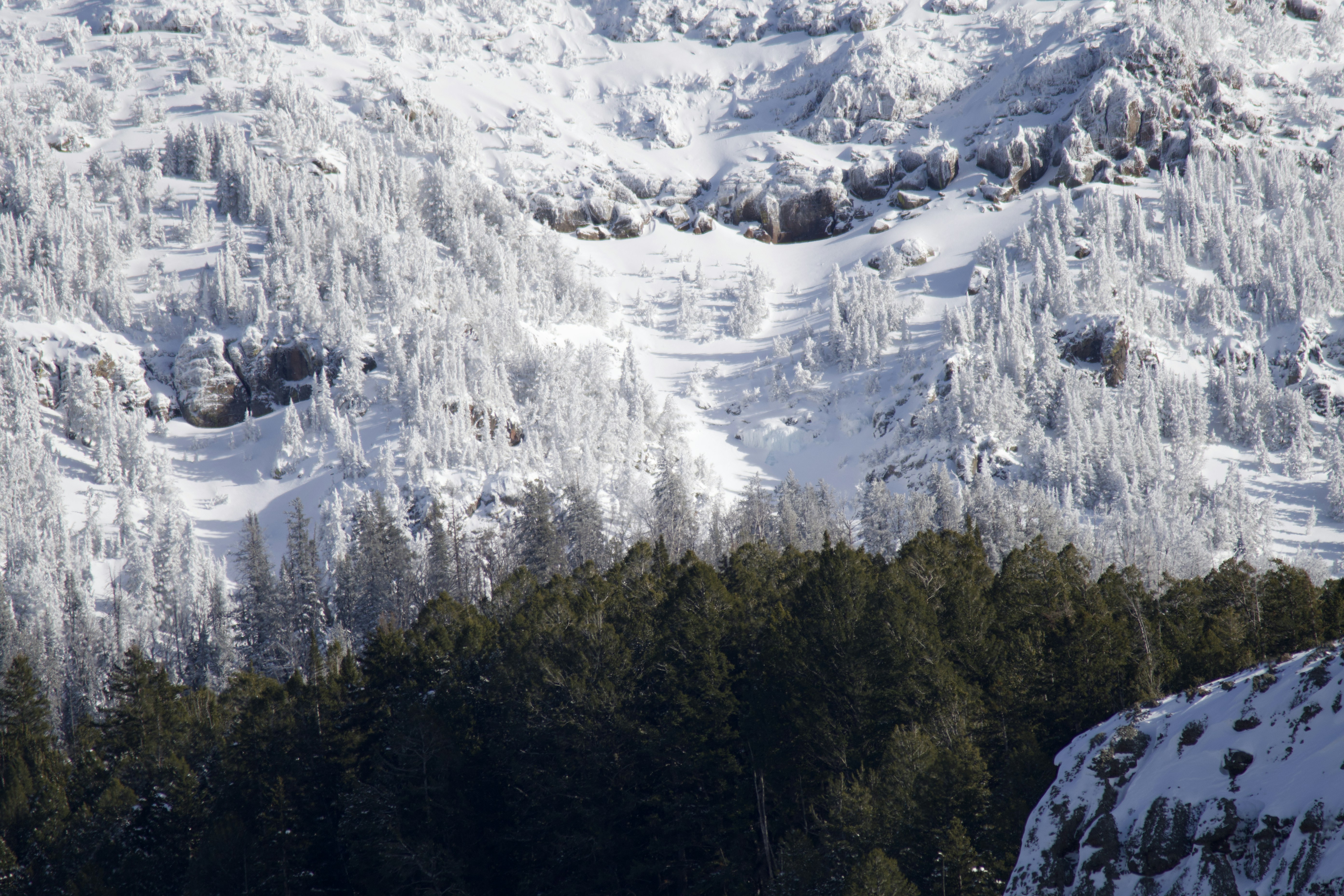 Photo by jackcharles