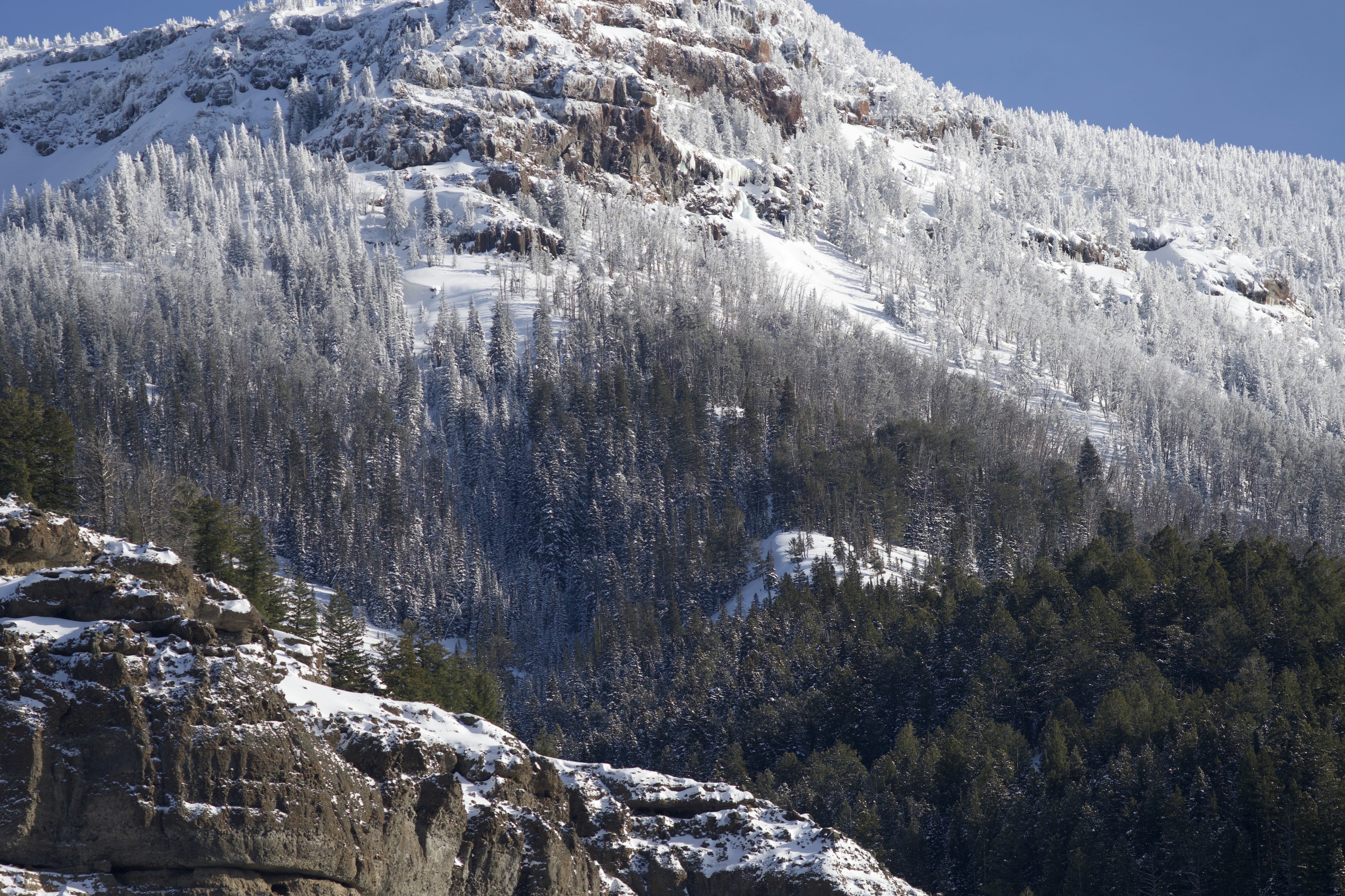 Photo by jackcharles