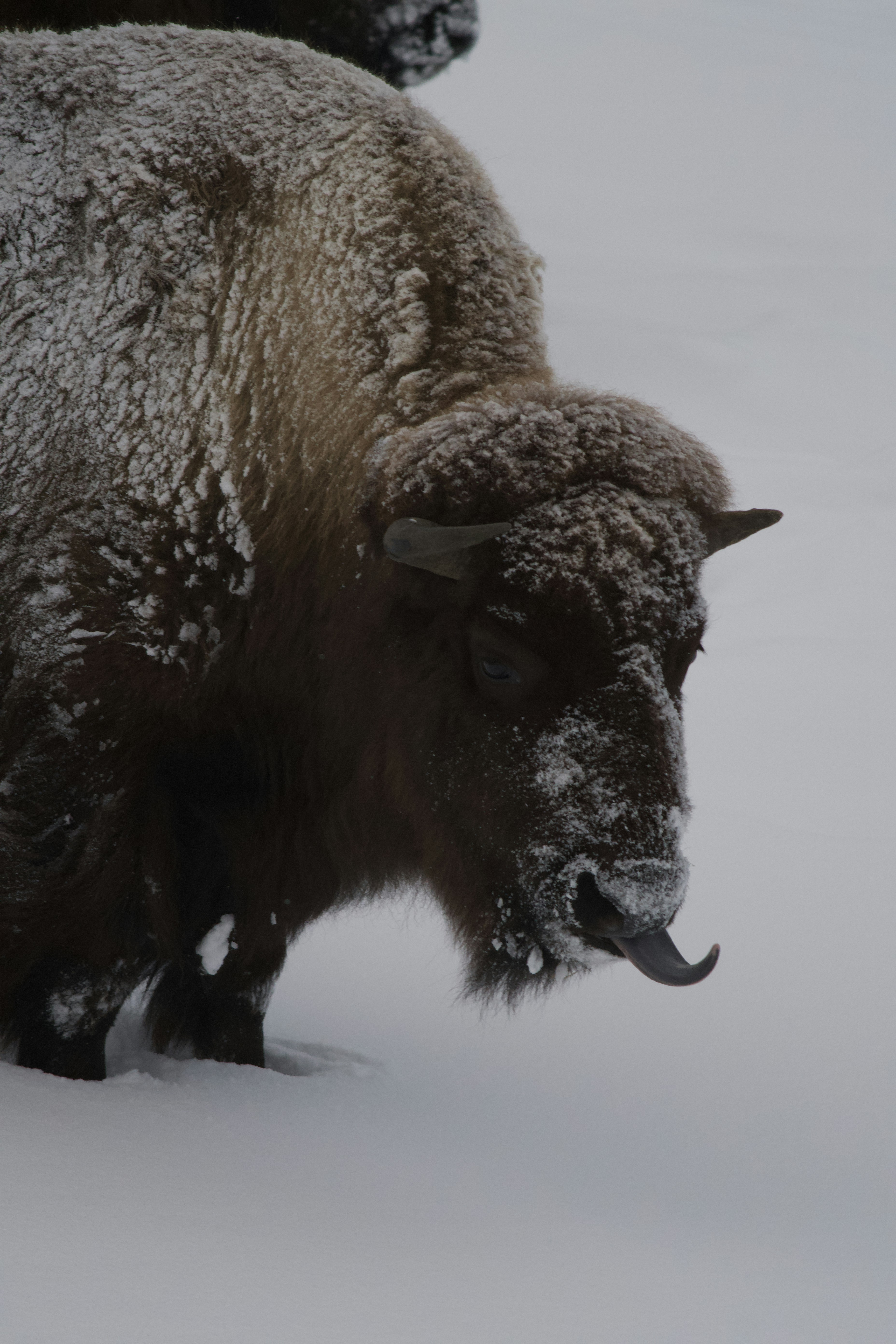 Photo by jackcharles