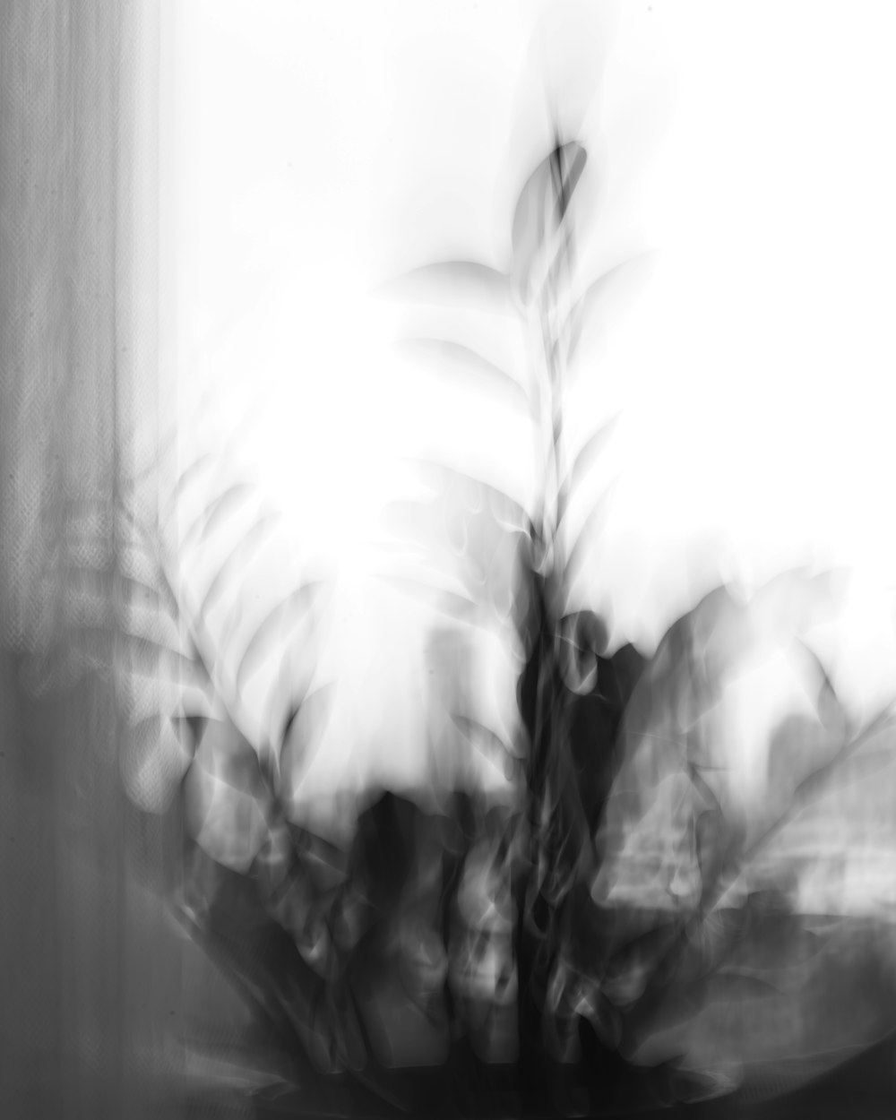 Foto in scala di grigi di una donna in abito floreale