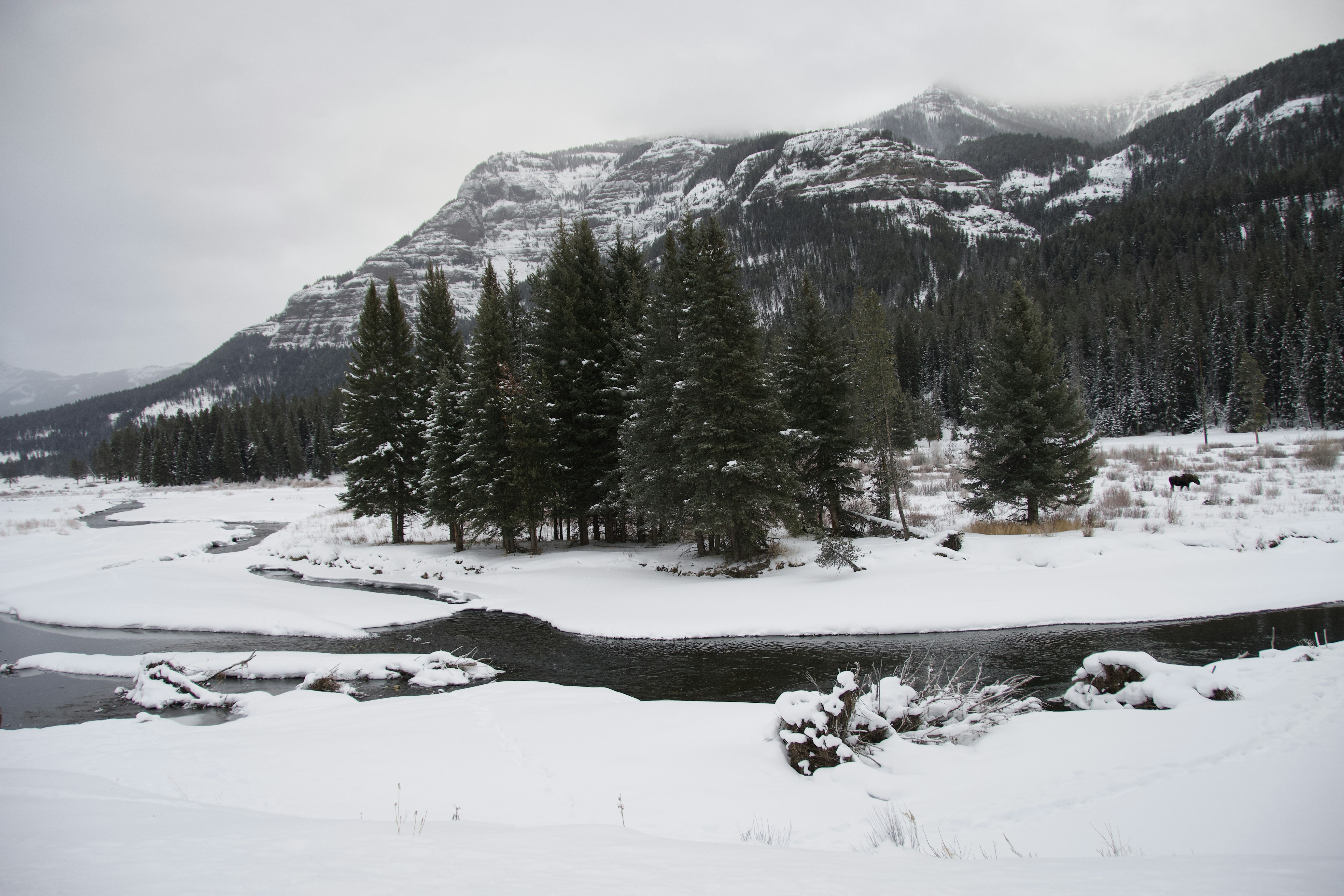 Photo by jackcharles