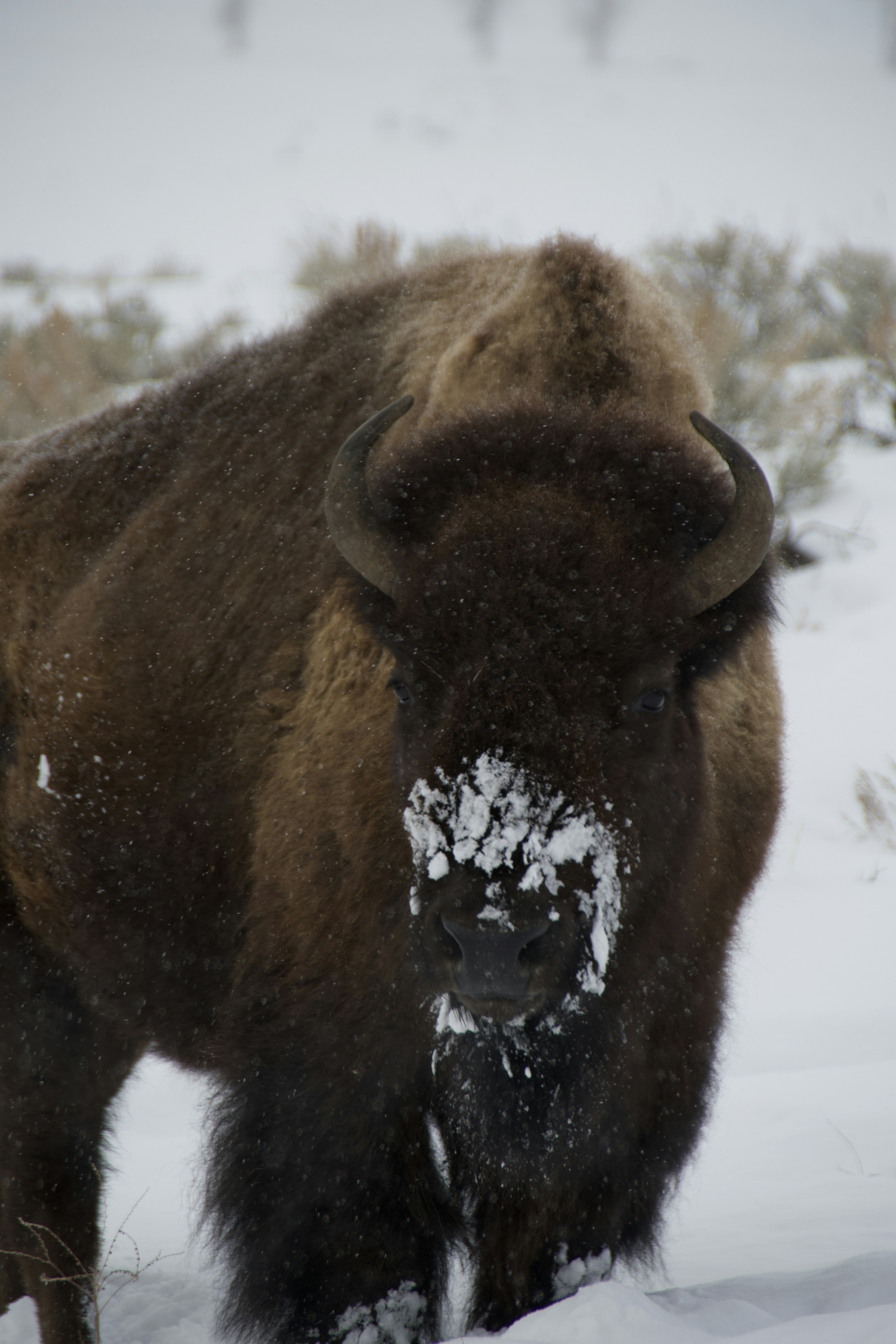 Photo by jackcharles