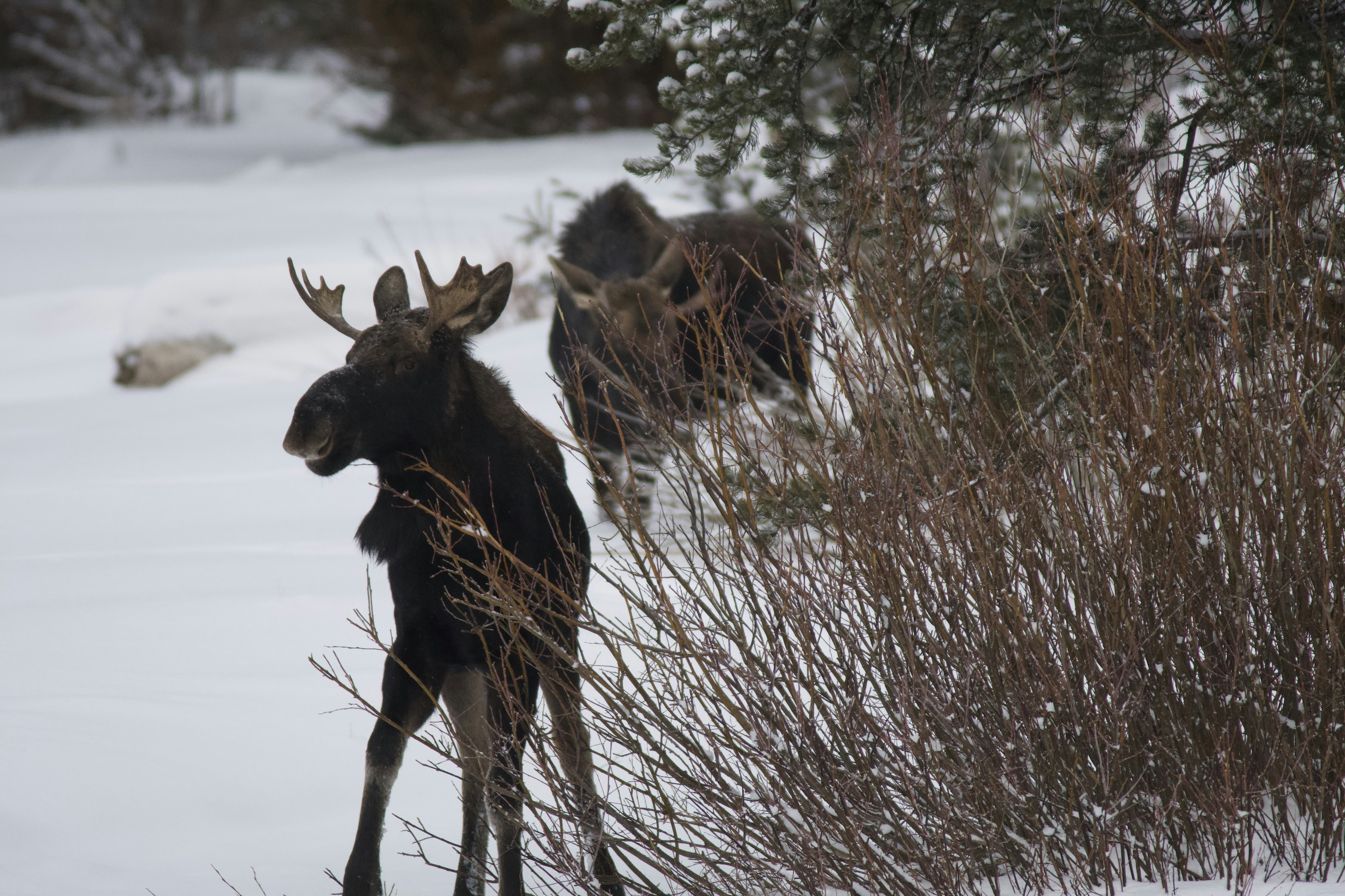 Photo by jackcharles