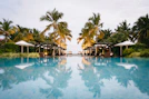 green palm trees near swimming pool during daytime