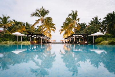 green palm trees near swimming pool during daytime